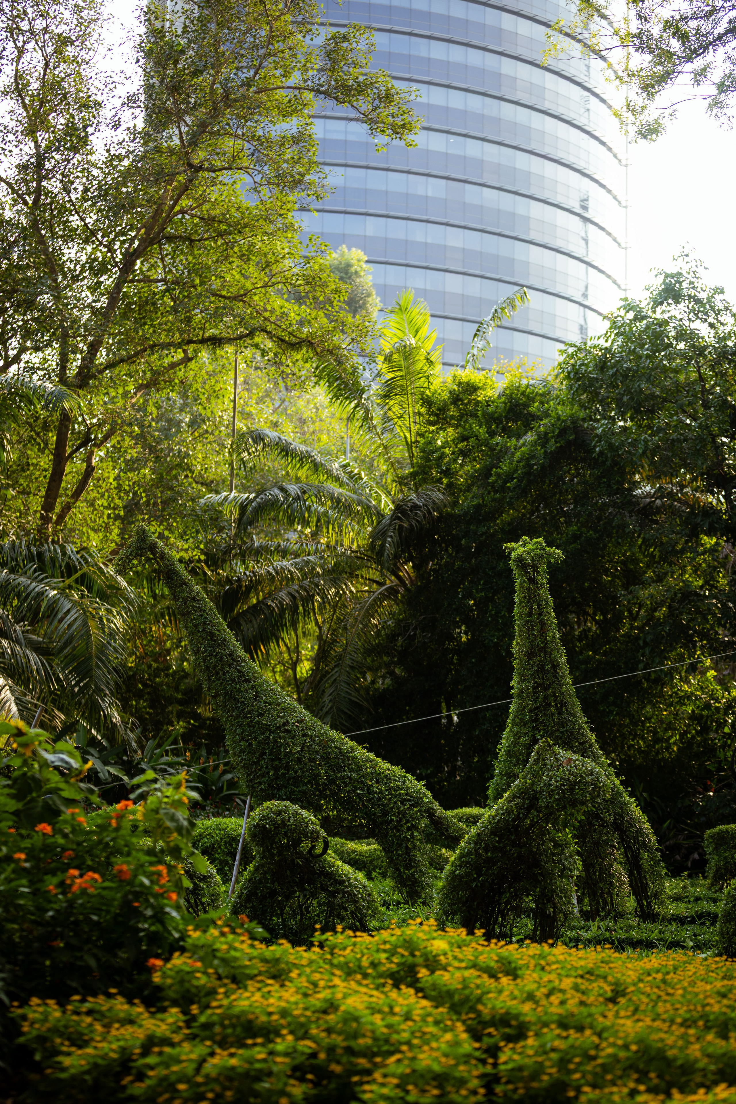 Вьетнам (зима 2025-2026). Фотограф Виноградов Константин