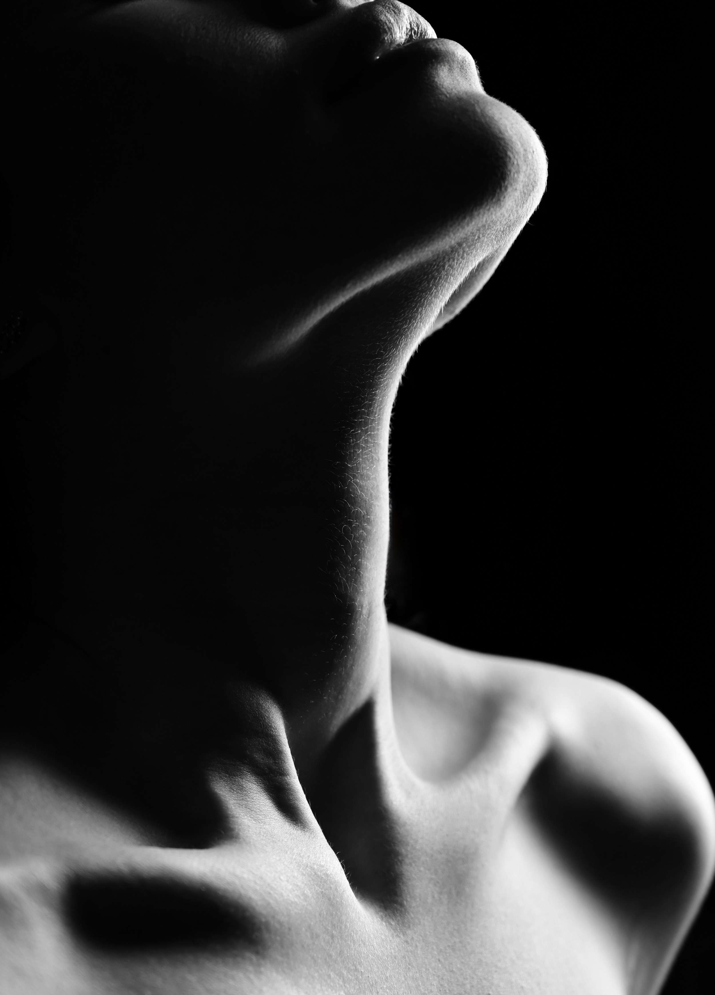 Главная-монохром