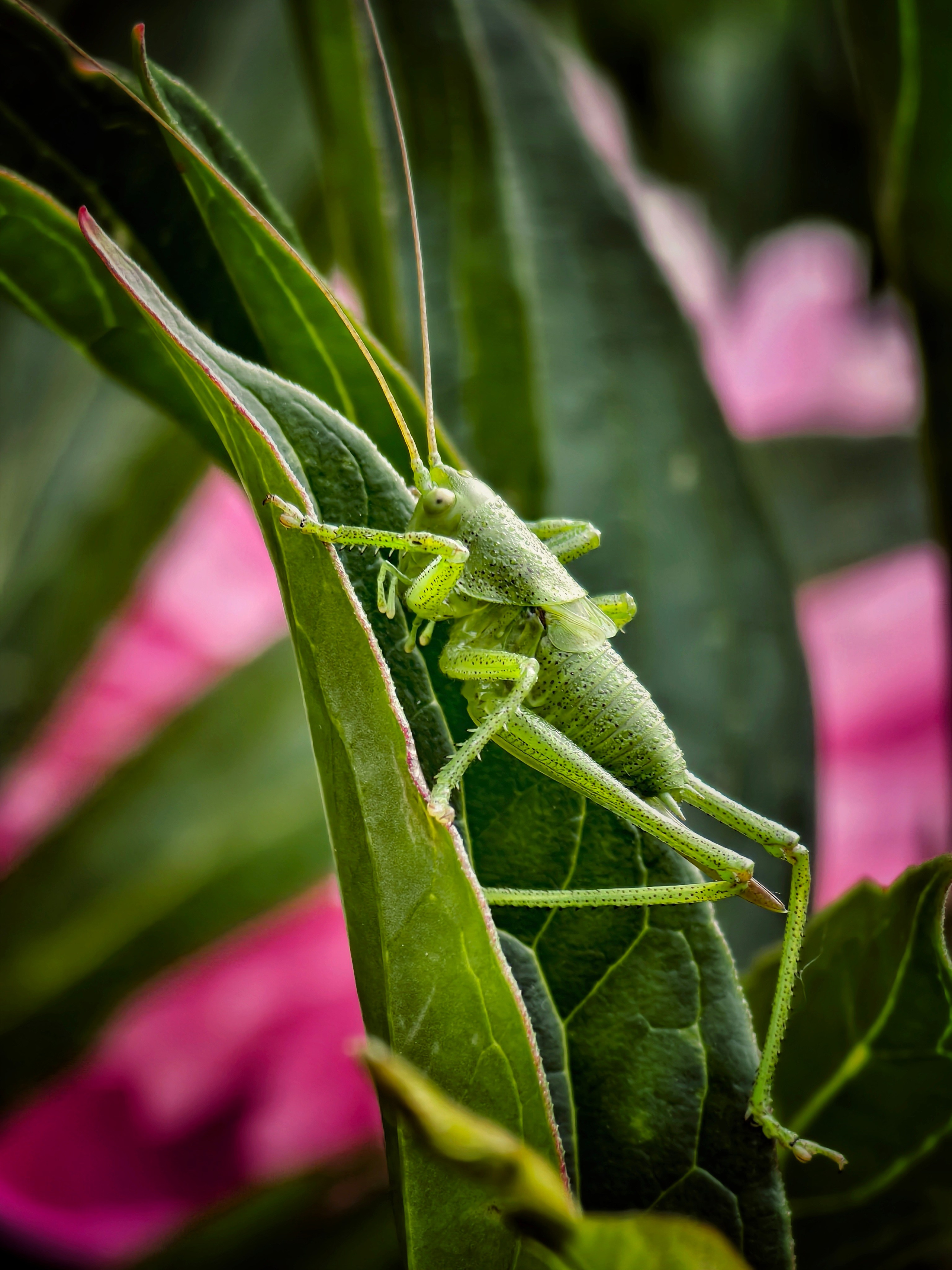 Большое в малом