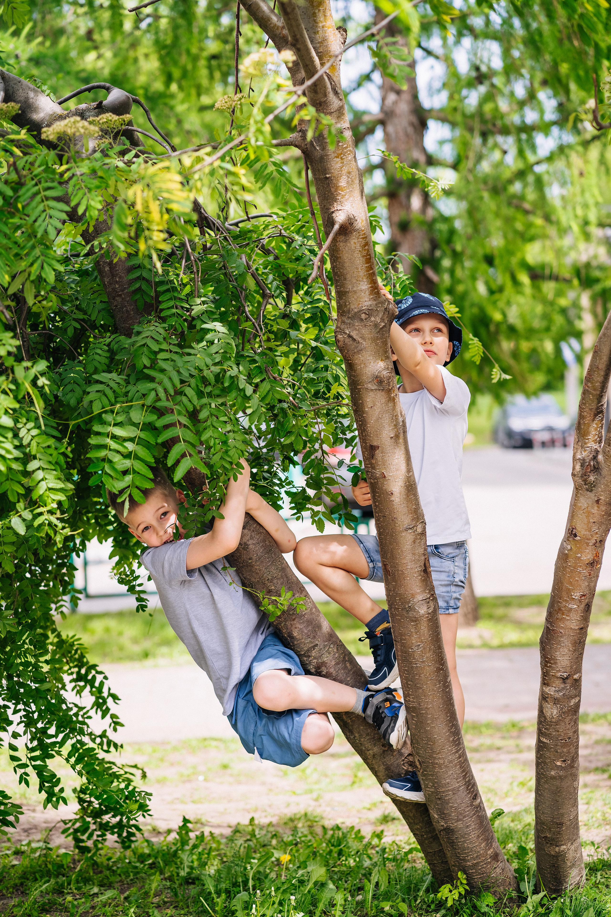 Сад4. Школьные альбомы и альбомы для детского сада. Юлия Осипова. Москва