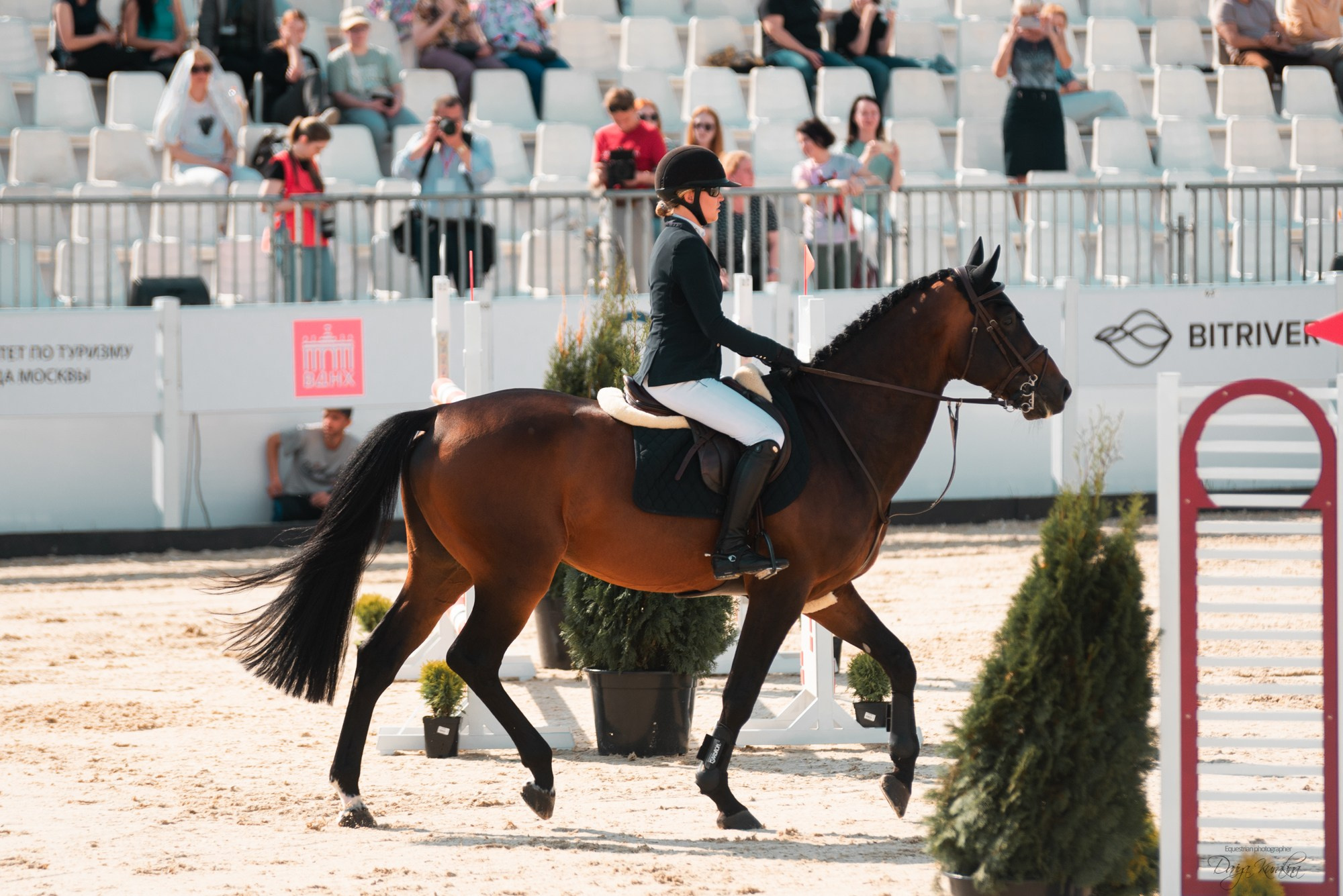 BITRIVER CUP 2023. Конный фотограф Куракина Дарья • Фотосессии с лошадьми