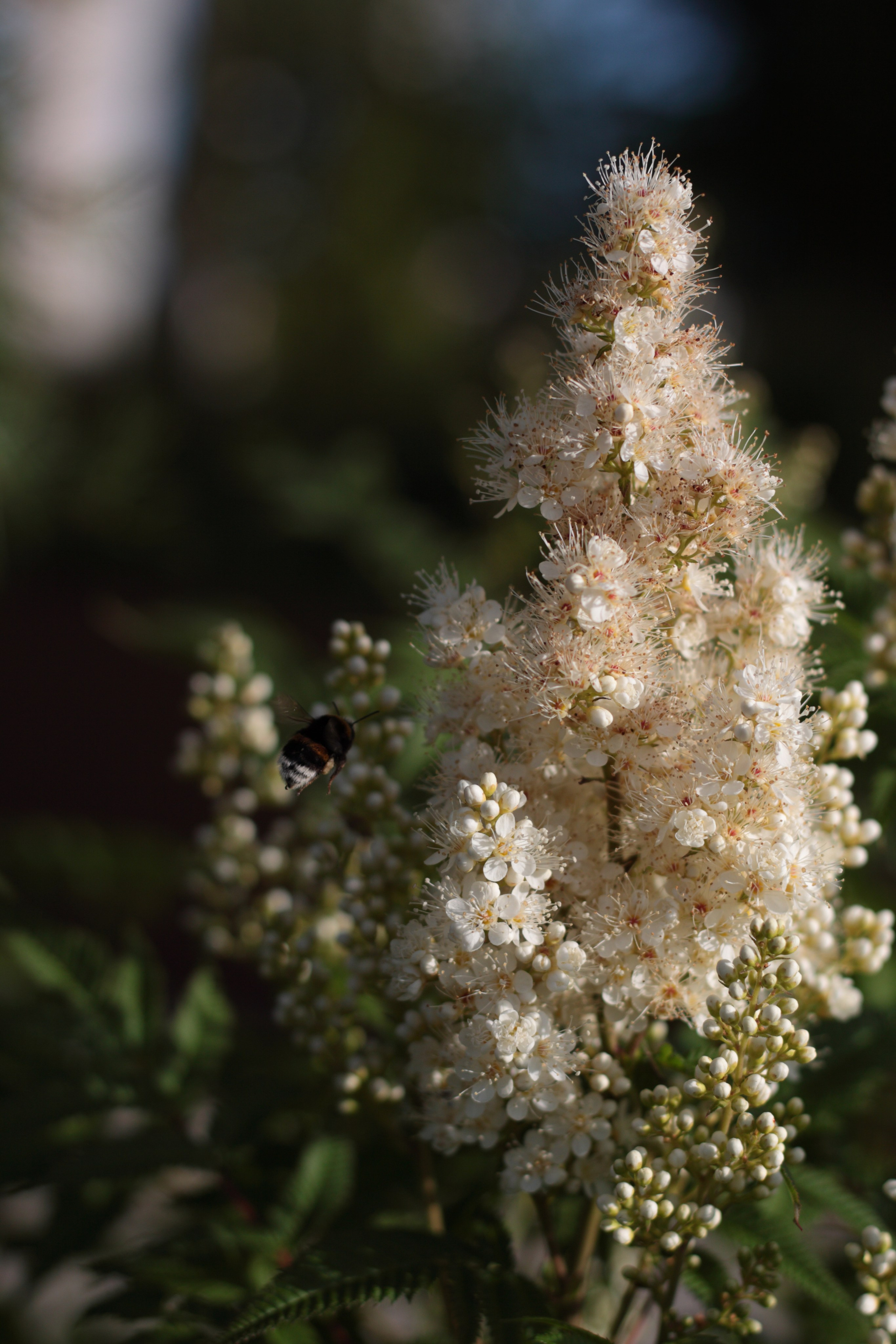 Старое природное, отбирала Katamount (Катерина Горохова). Главная
