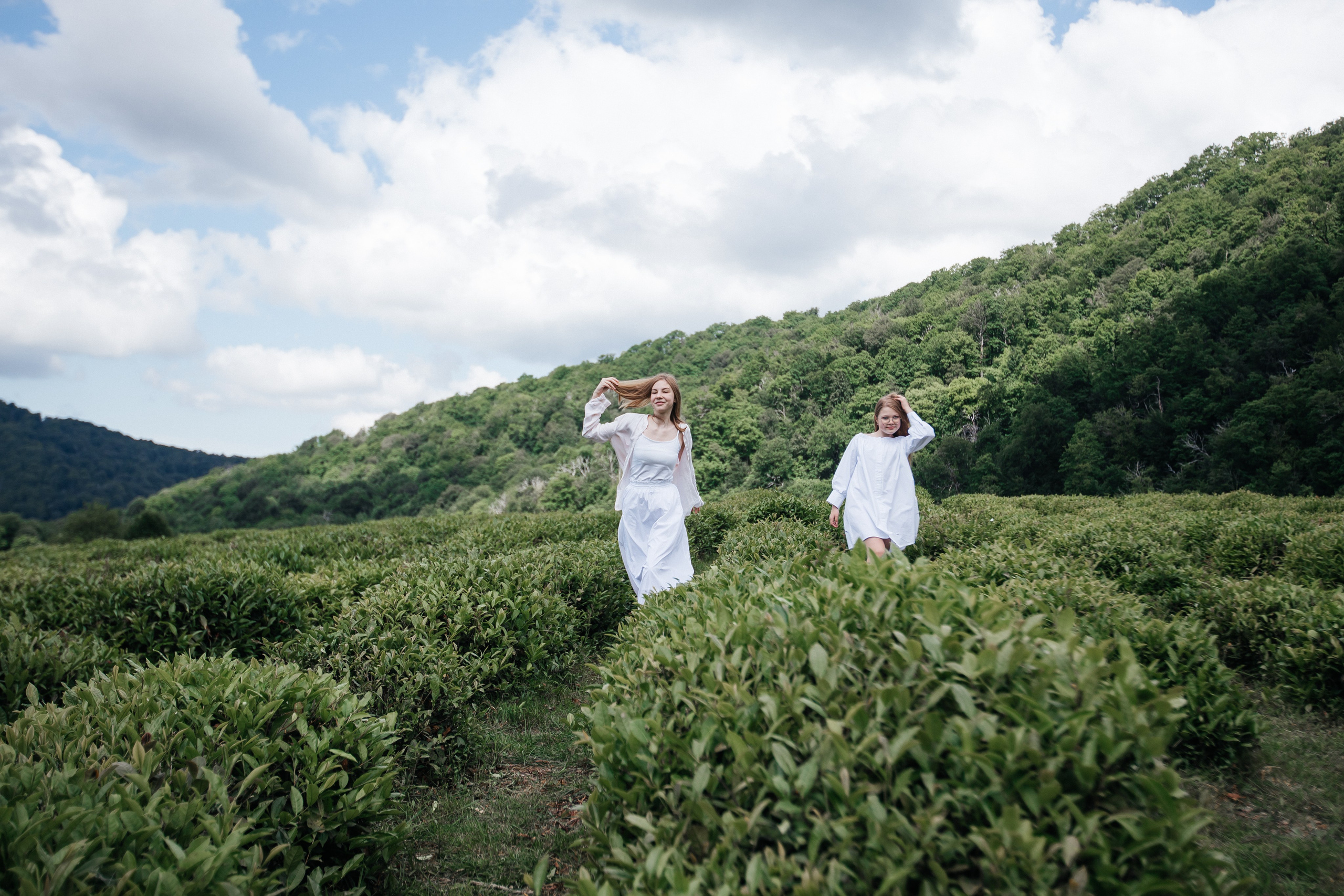 Tea plantation. Efimova Model Agency