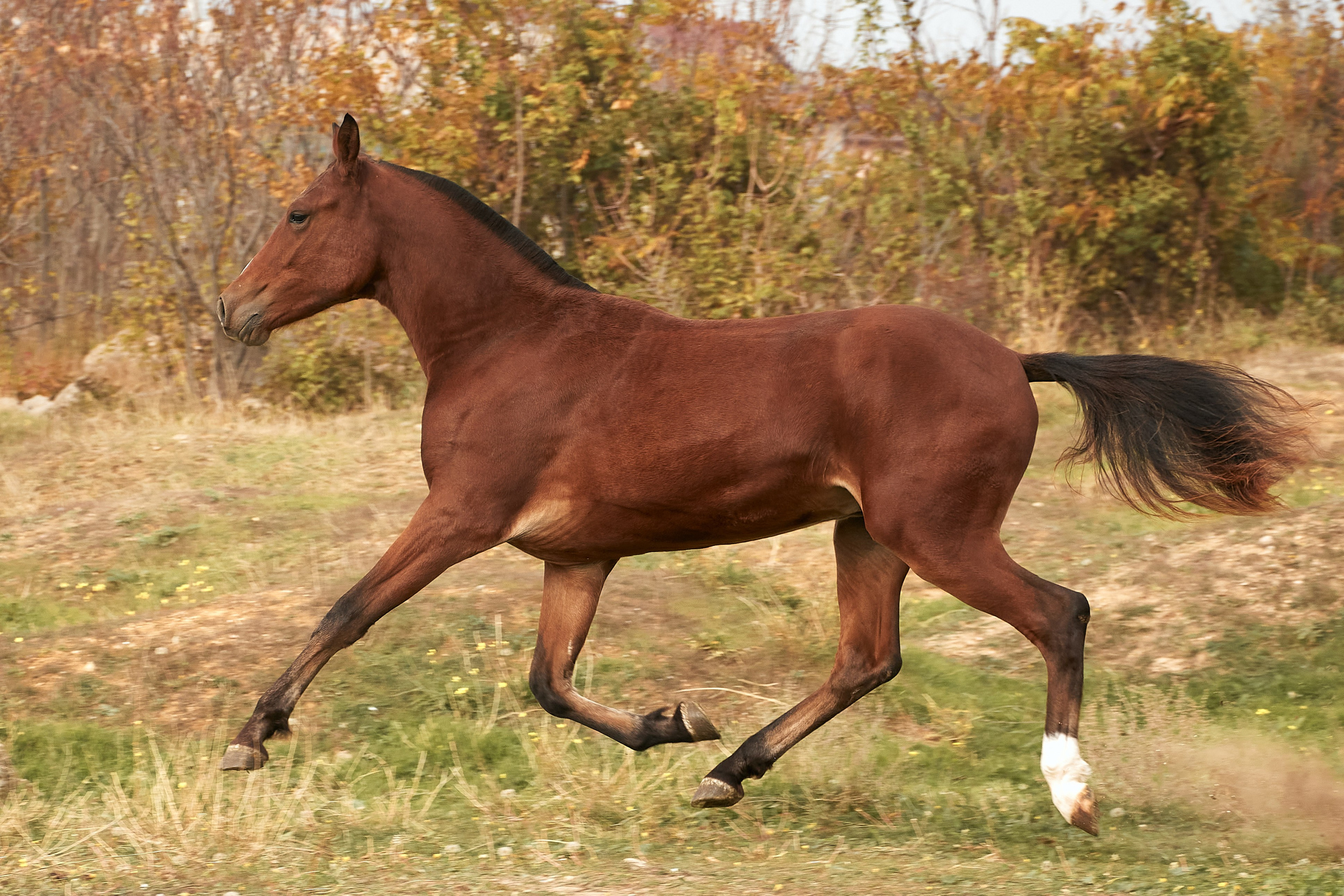 Роня. Фотограф в Севастополе