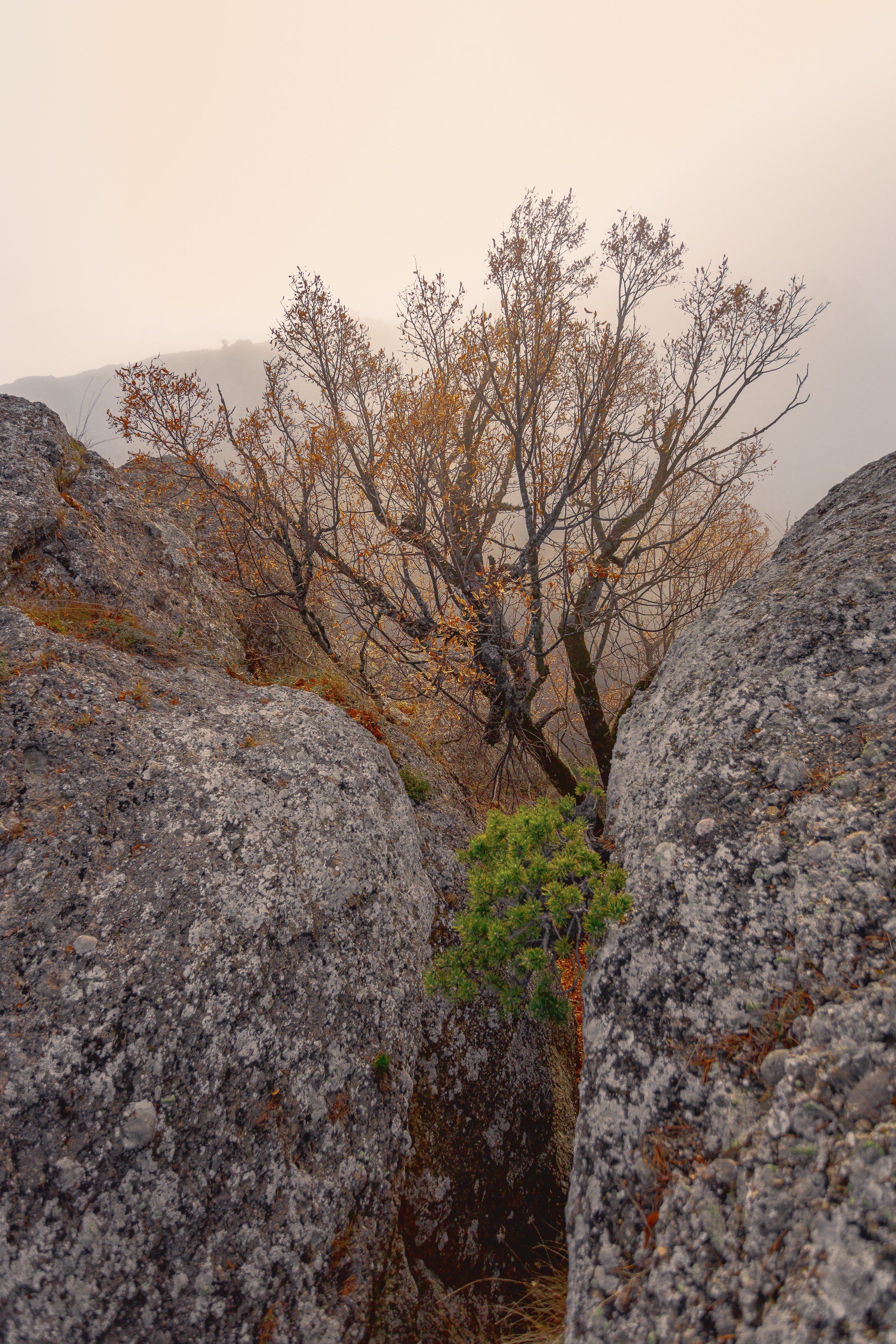 Пейзажная фотография. Фотошкола ArtFotoLife для начинающих и продвинутых фотографов