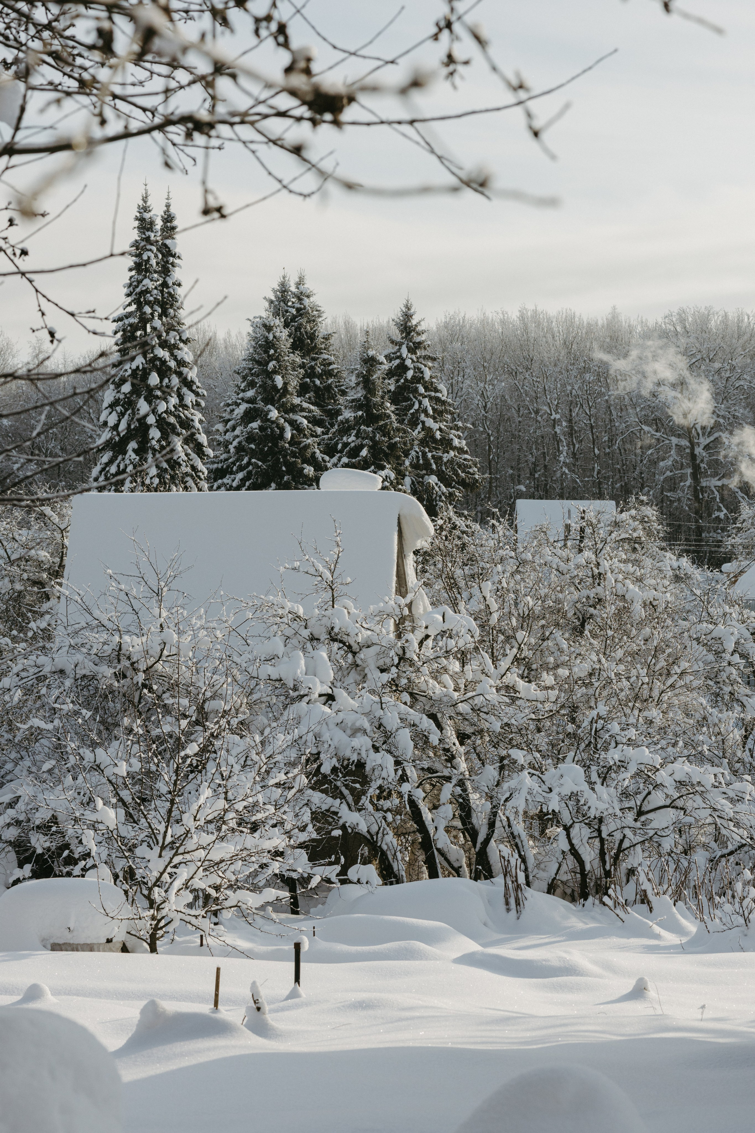 Природа деревни. Фотограф Эльмира Лин