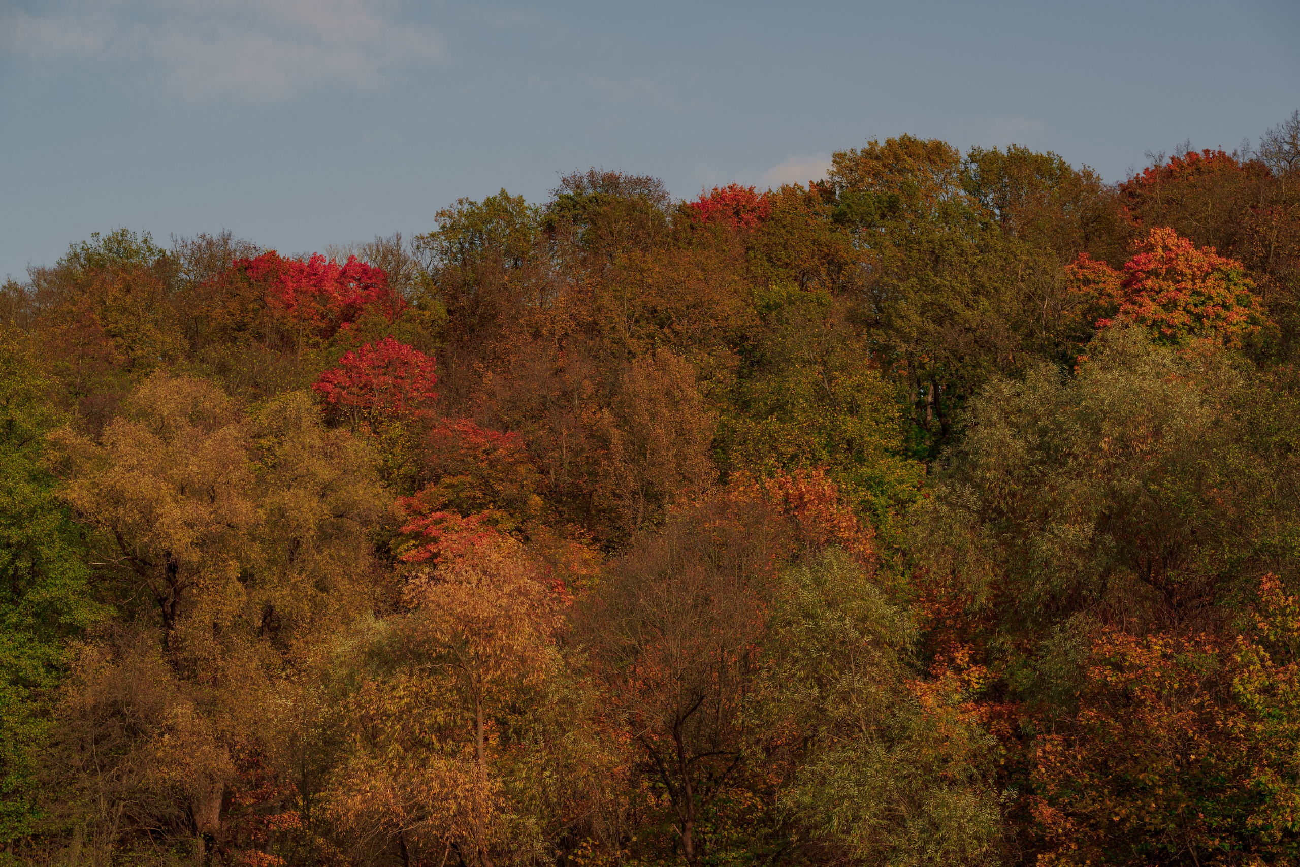 Гриша. Фотограф в Москве и России