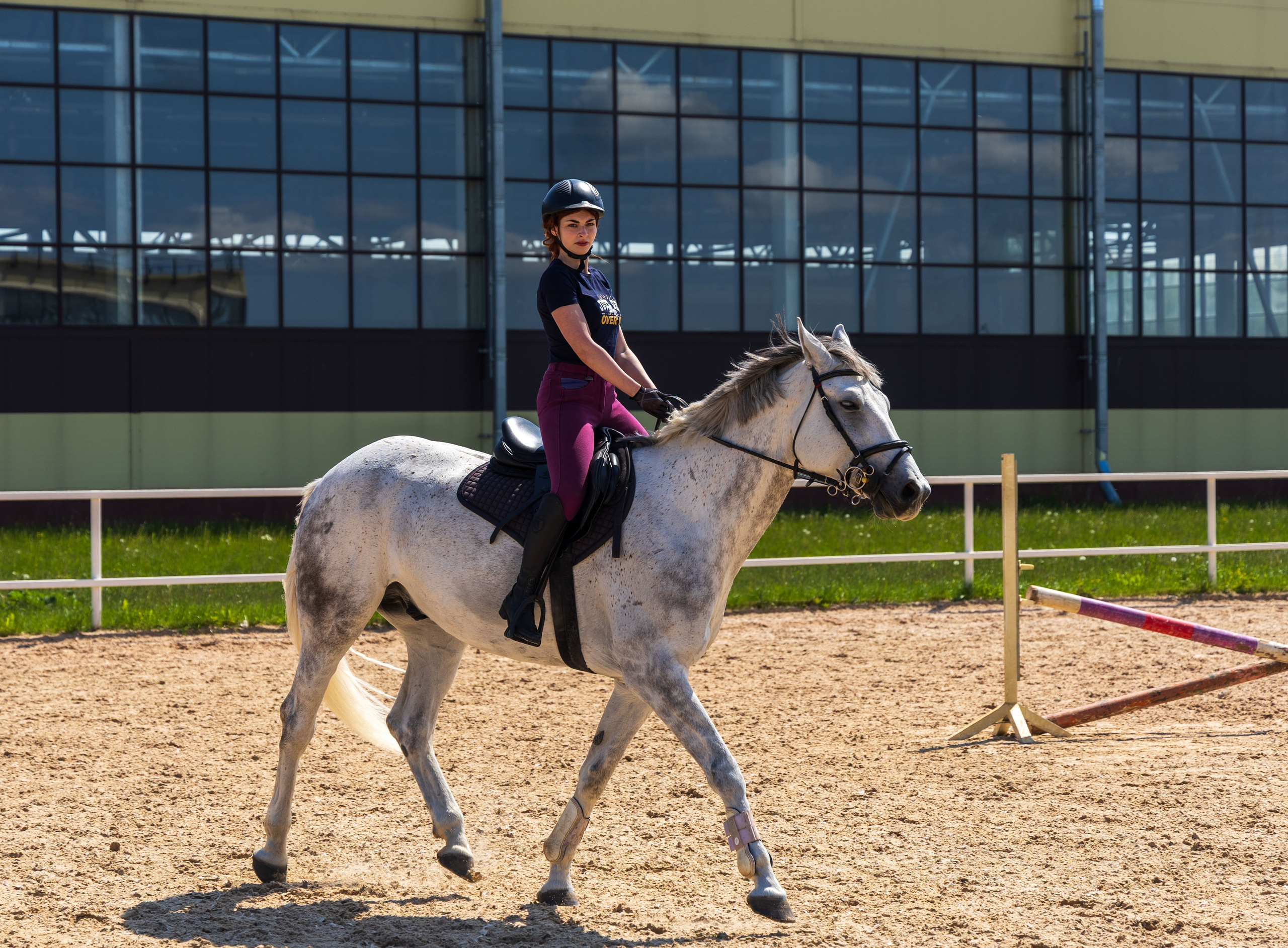 Репортаж.Конная тренировка. Портретный и семейный фотограф Санкт-Петербург