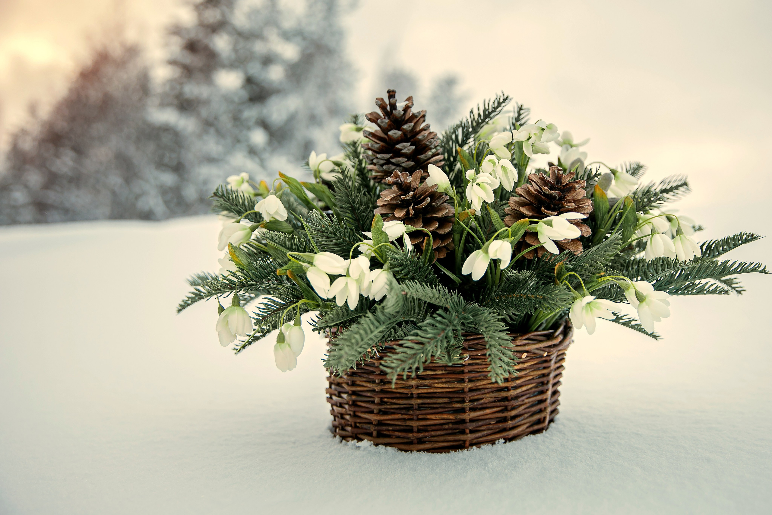 Прогулки по зиме. Фотограф Елена Вишневская (Ушакова) Нефтеюганск, Сургут, Тюмень