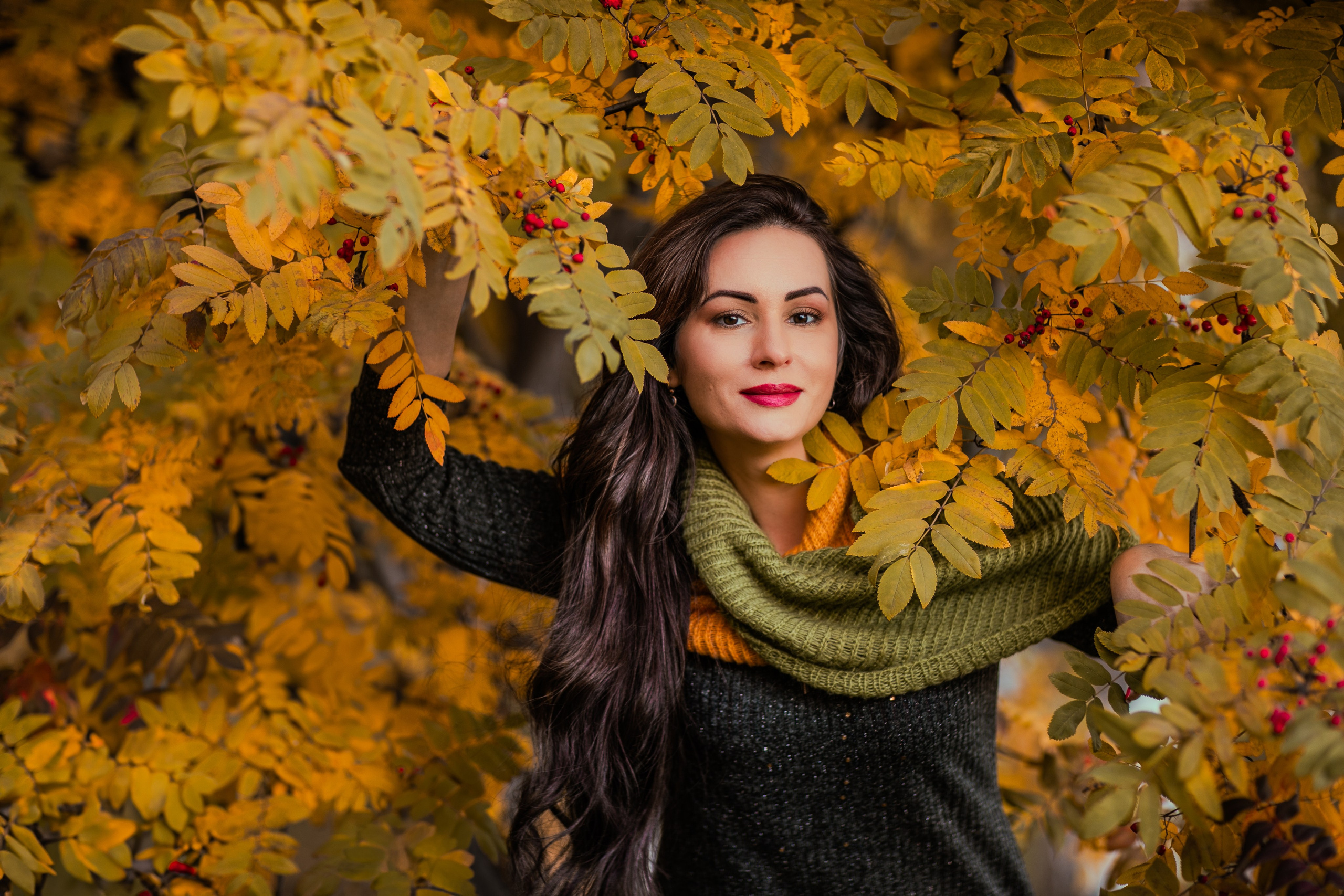 Багрец и золото. Фотограф Елена Вишневская (Ушакова) Нефтеюганск, Сургут, Тюмень