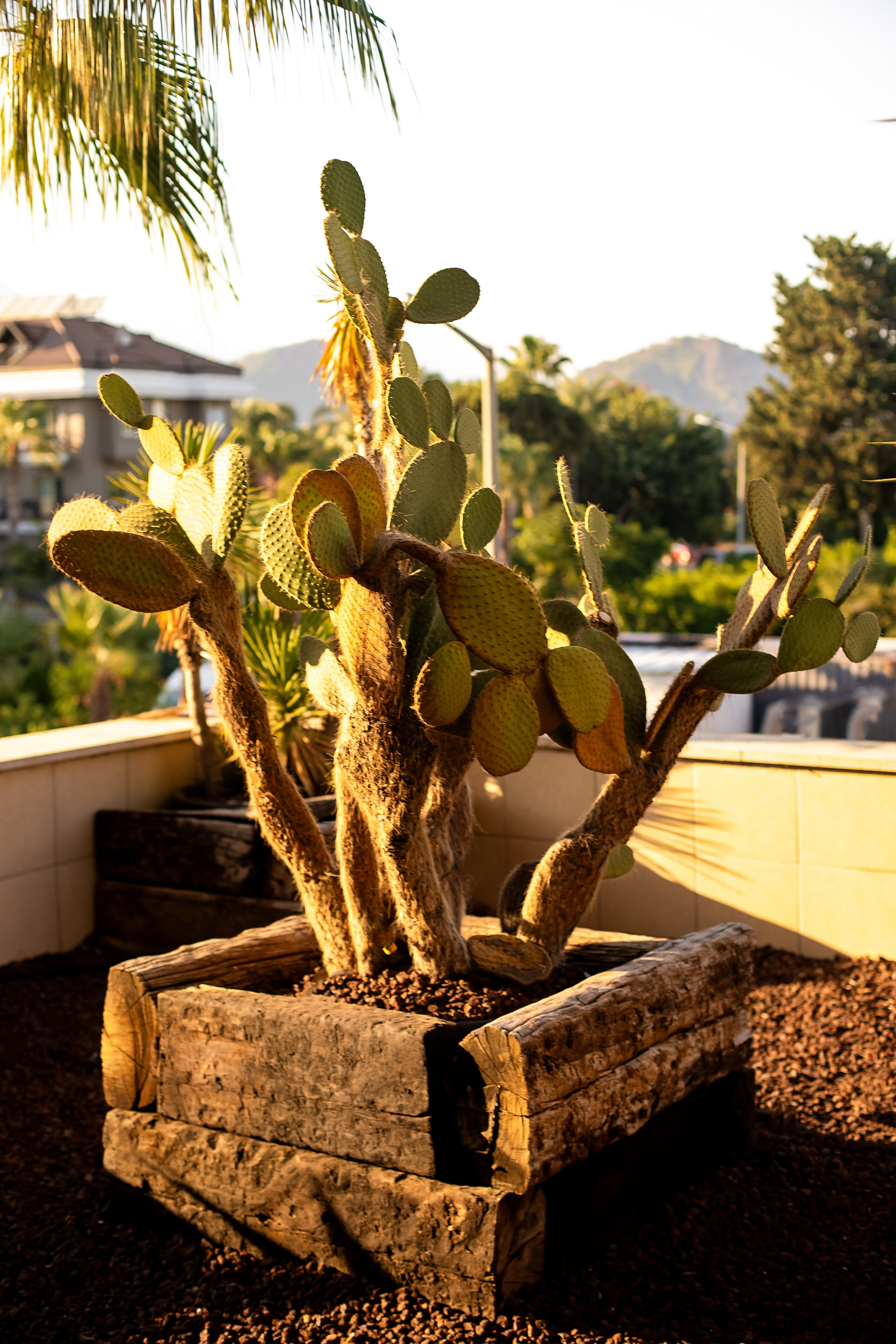 Турция, Кемер. Свадебный и семейный фотограф/видеограф в Краснодаре Наталья Осинская