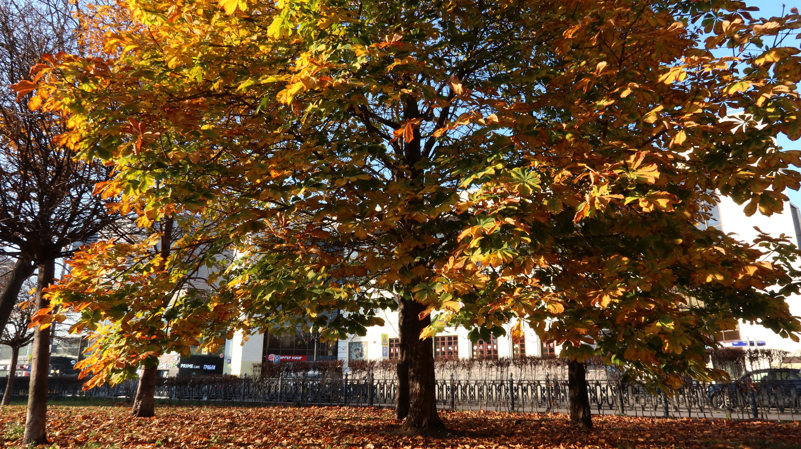 Цветной бульвар 2021. Улица, люди, жизнь…