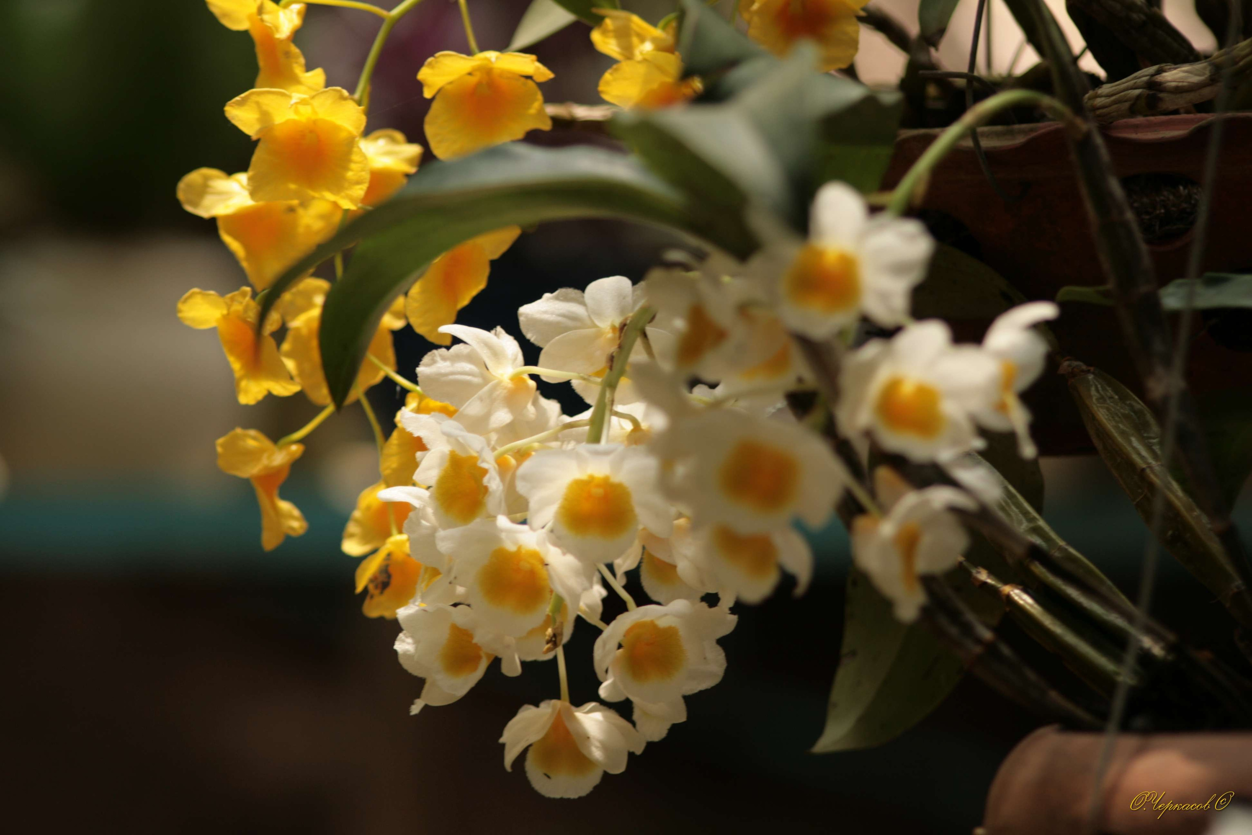 Вьетнам 2008 г. Улица, люди, жизнь…