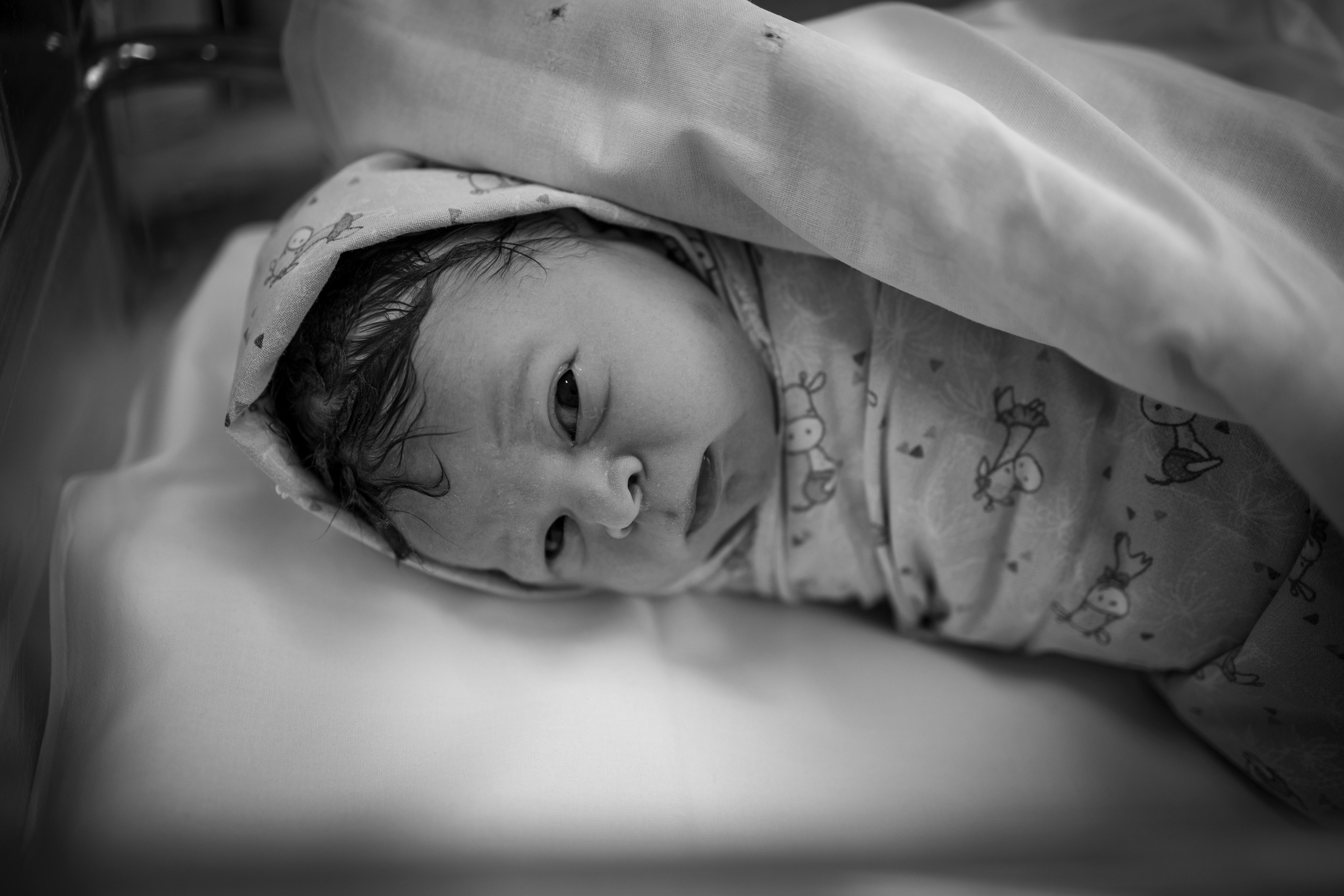 Рождение Тимофея