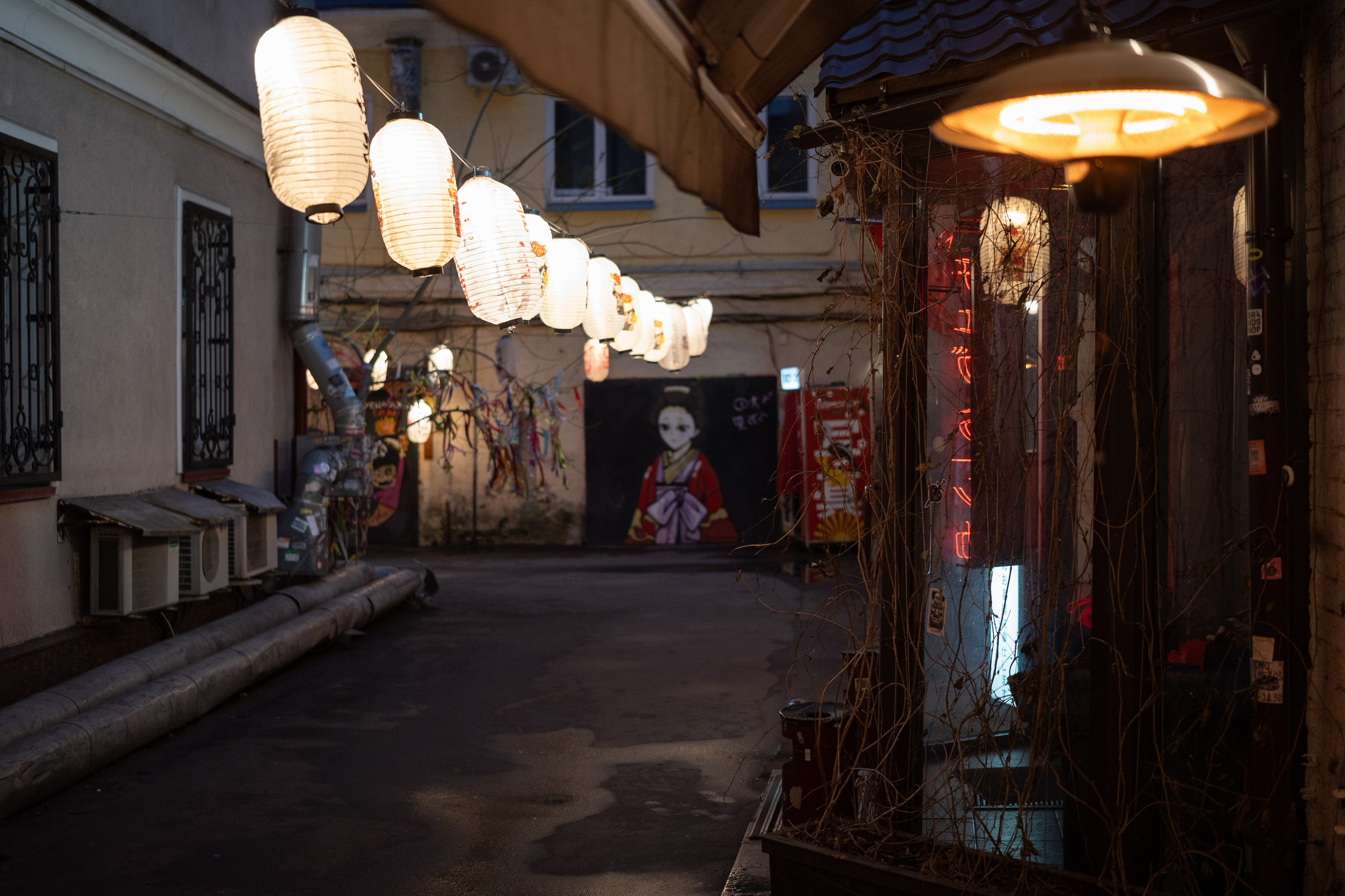 20241201 от Чеховской до Арбатской. Дмитрий Ремизов. Фотография, как хобби