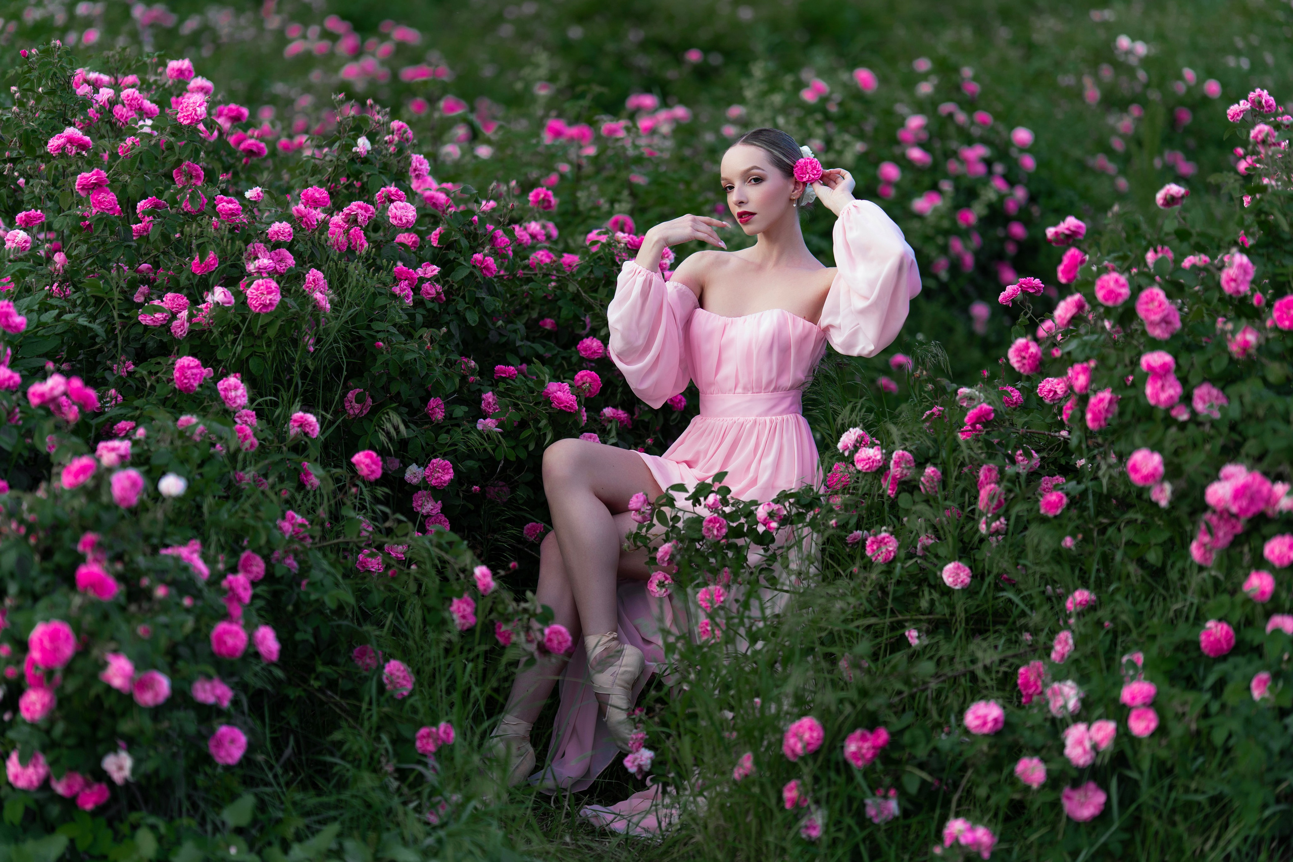 Розы. Фотограф в Крыму Лебедева Александра