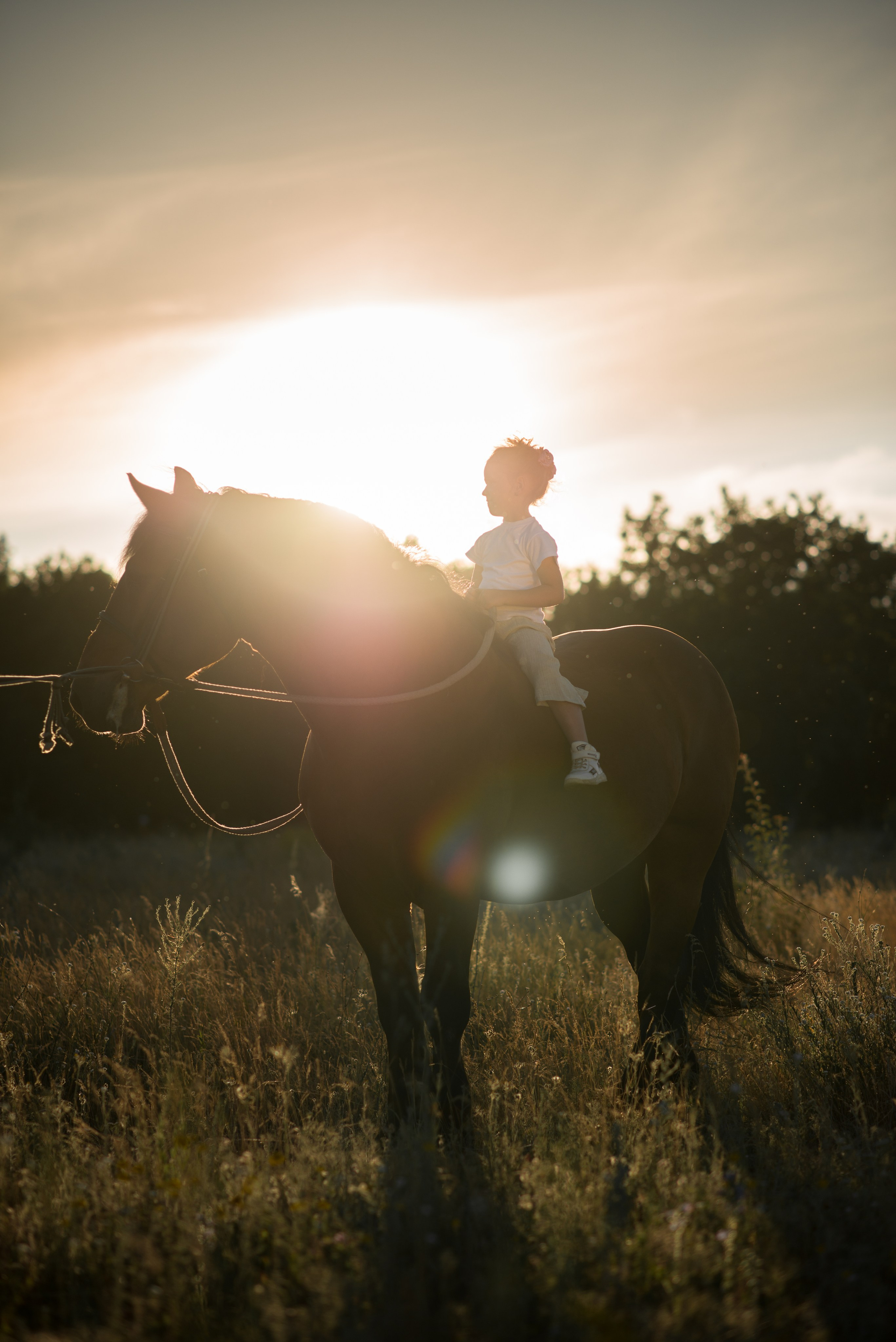 Дети и лошади. Конный фотограф в Саратове Юлия Иванова