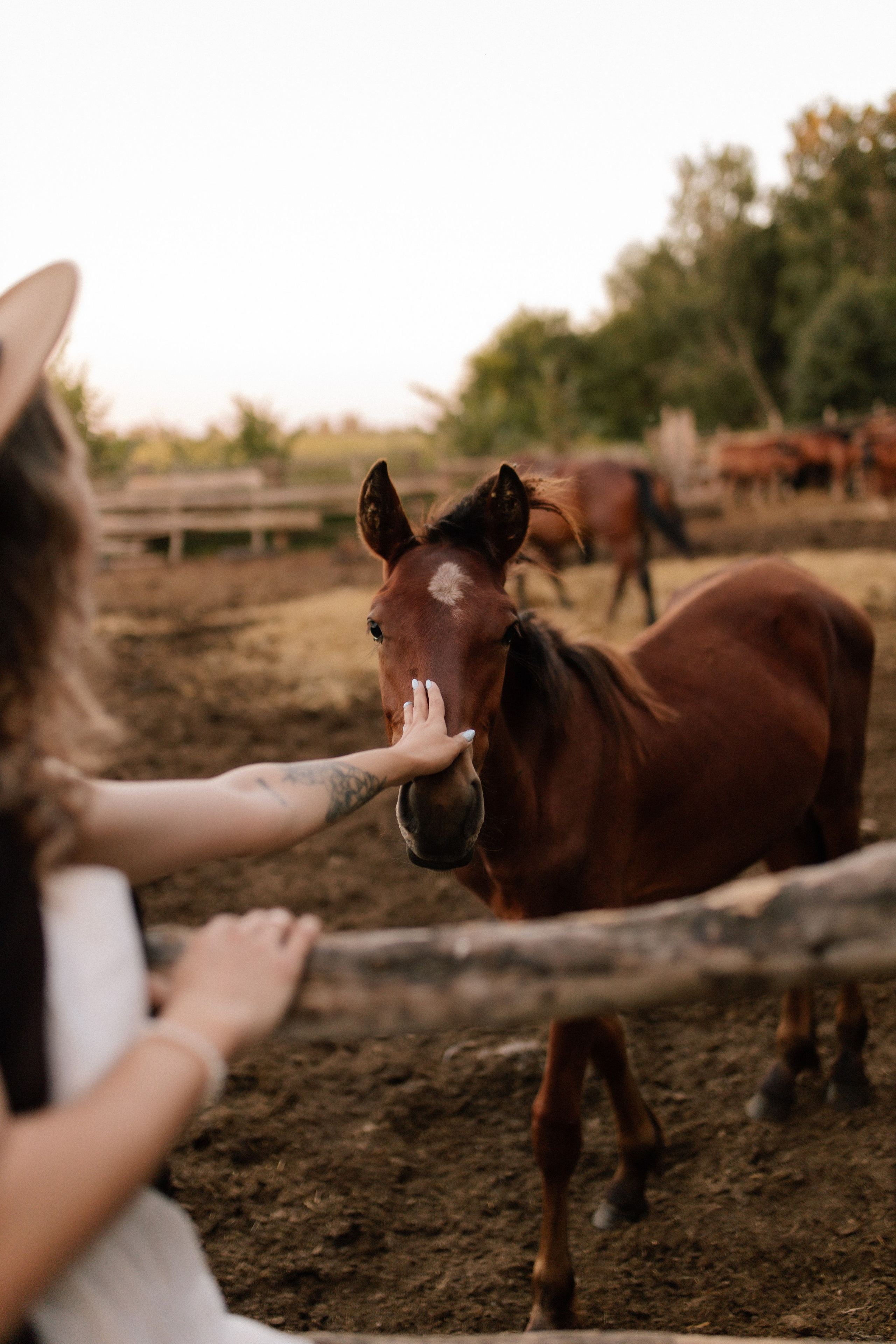 Индивидуальная