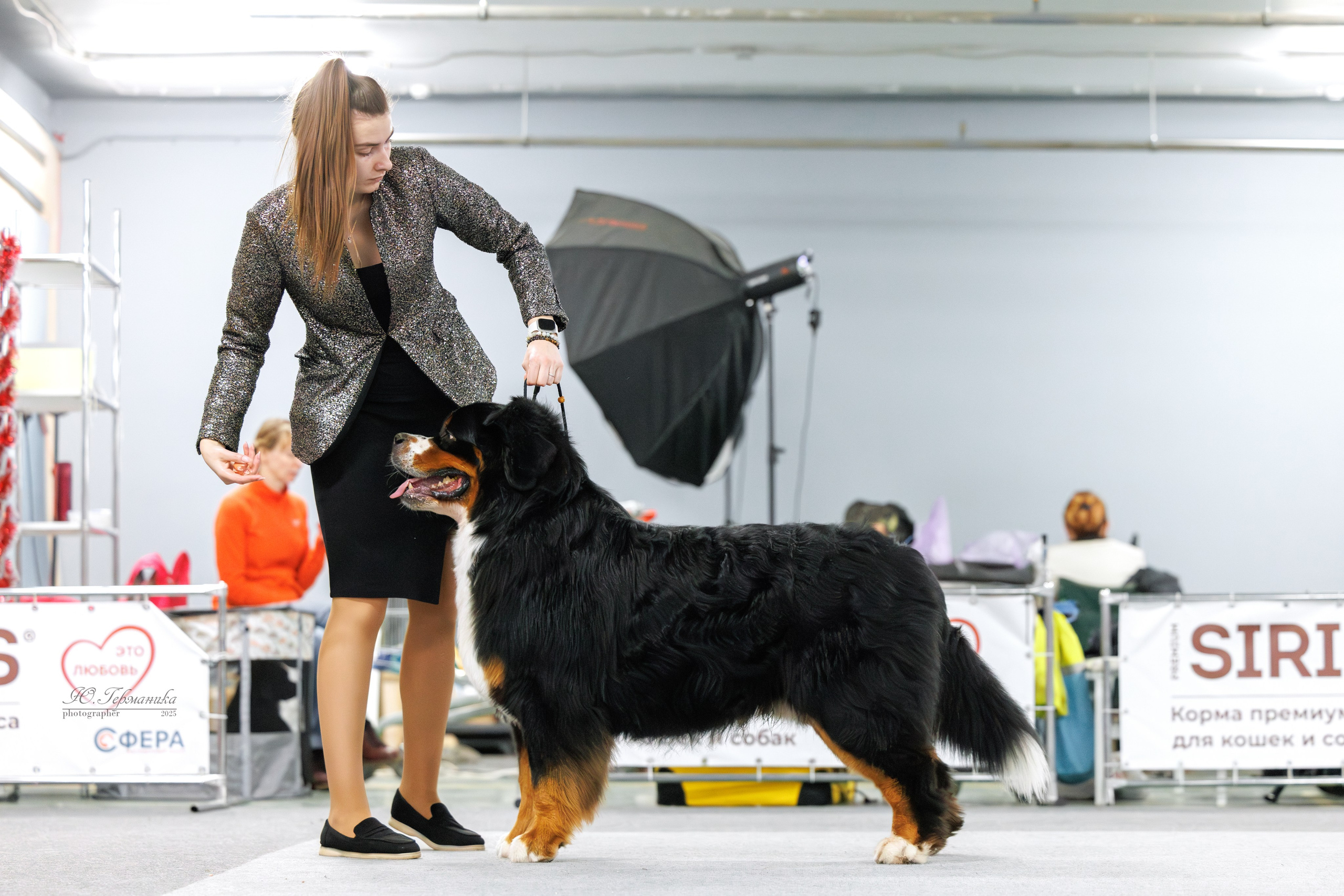 Сфера и Крокус 8,9,16 и 30.03.2025. Фотограф-анималист Юлия Германика