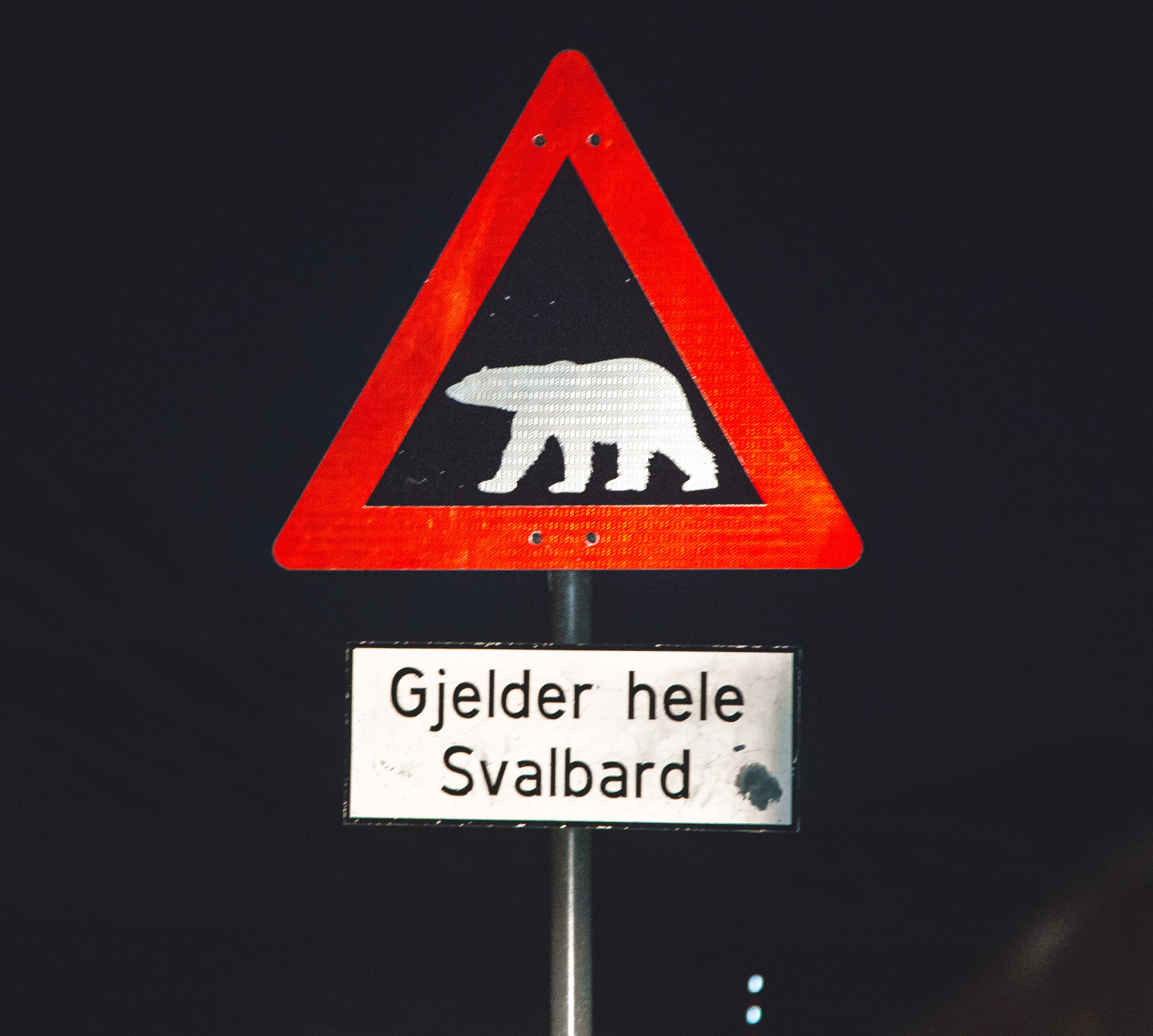 Мой первый день на Шпицбергене. Дарья Письменюк / Darya Leitstern — фотограф, музыкант, журналист, путешественник