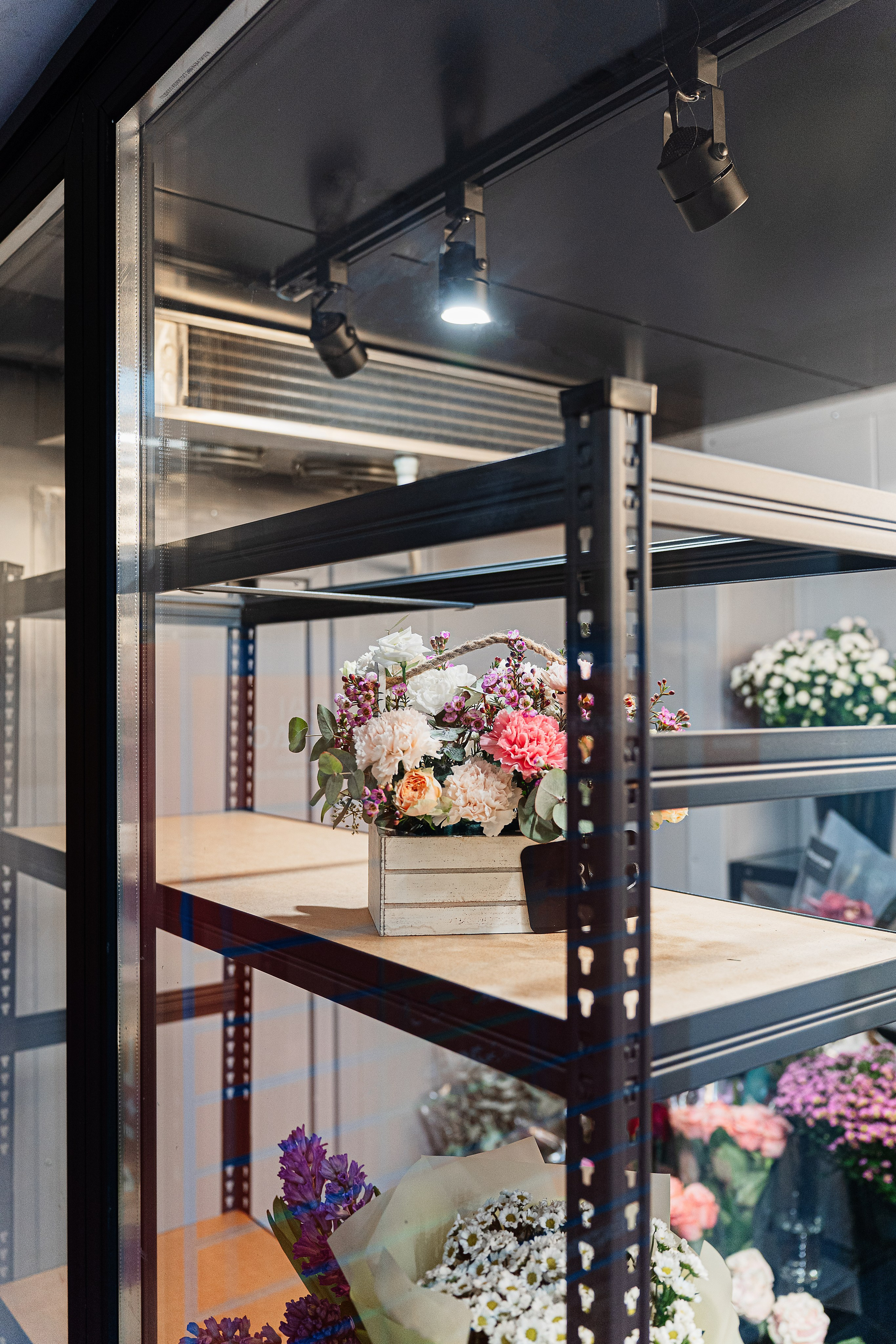 Регион холод. Елена Пашкевич, фотограф, Москва