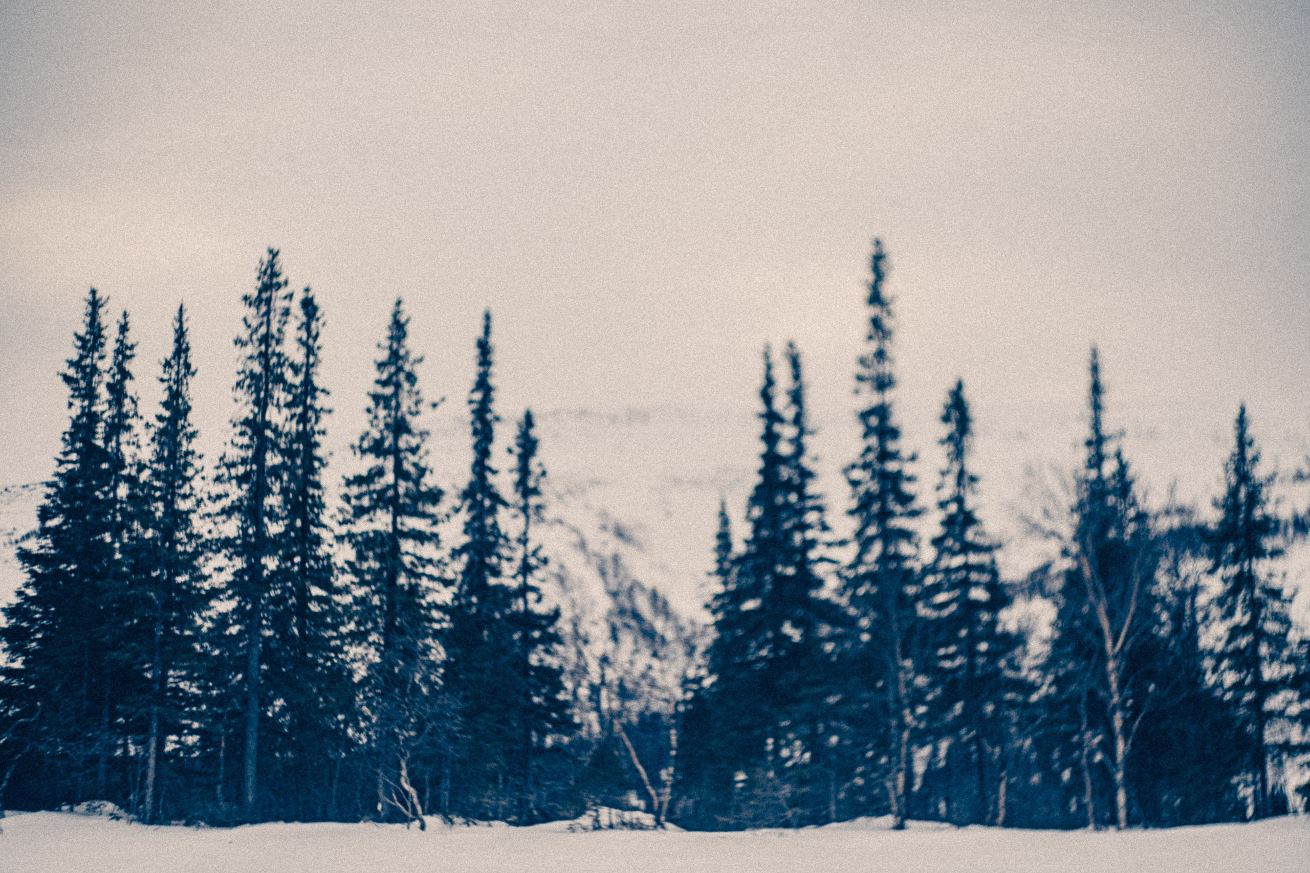 Священное озеро. Фотограф * Вячеслав Скоробогатов * Визульный Артист