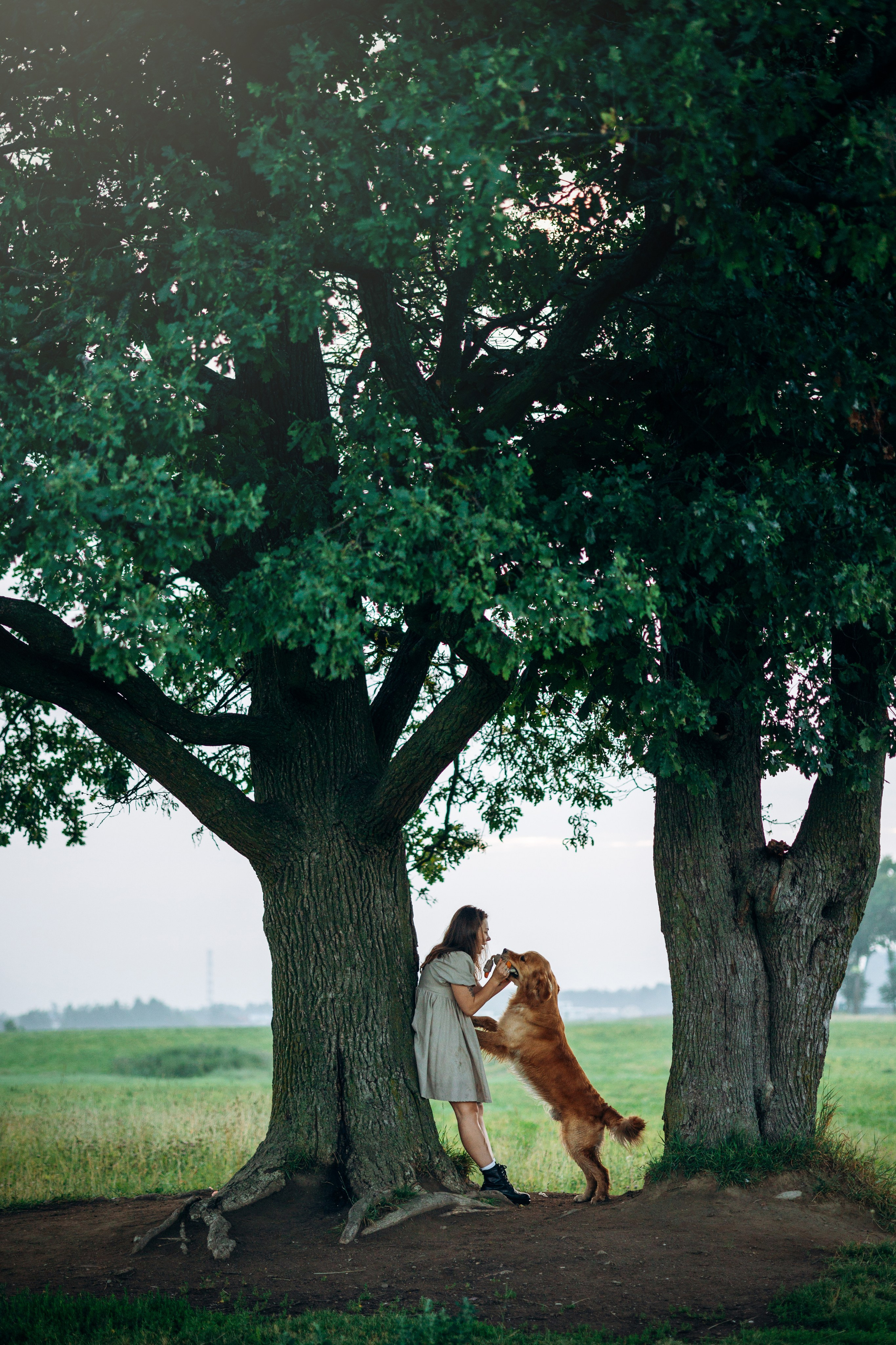Аня и Ноллан. Фотограф — Анималист | Санкт-Петербург