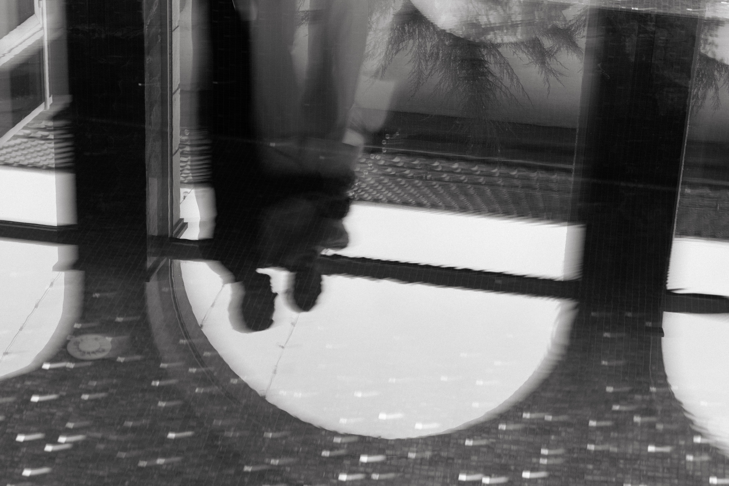 Daniela & Sergey. Вебер Юлия фотограф Ростов-на-Дону