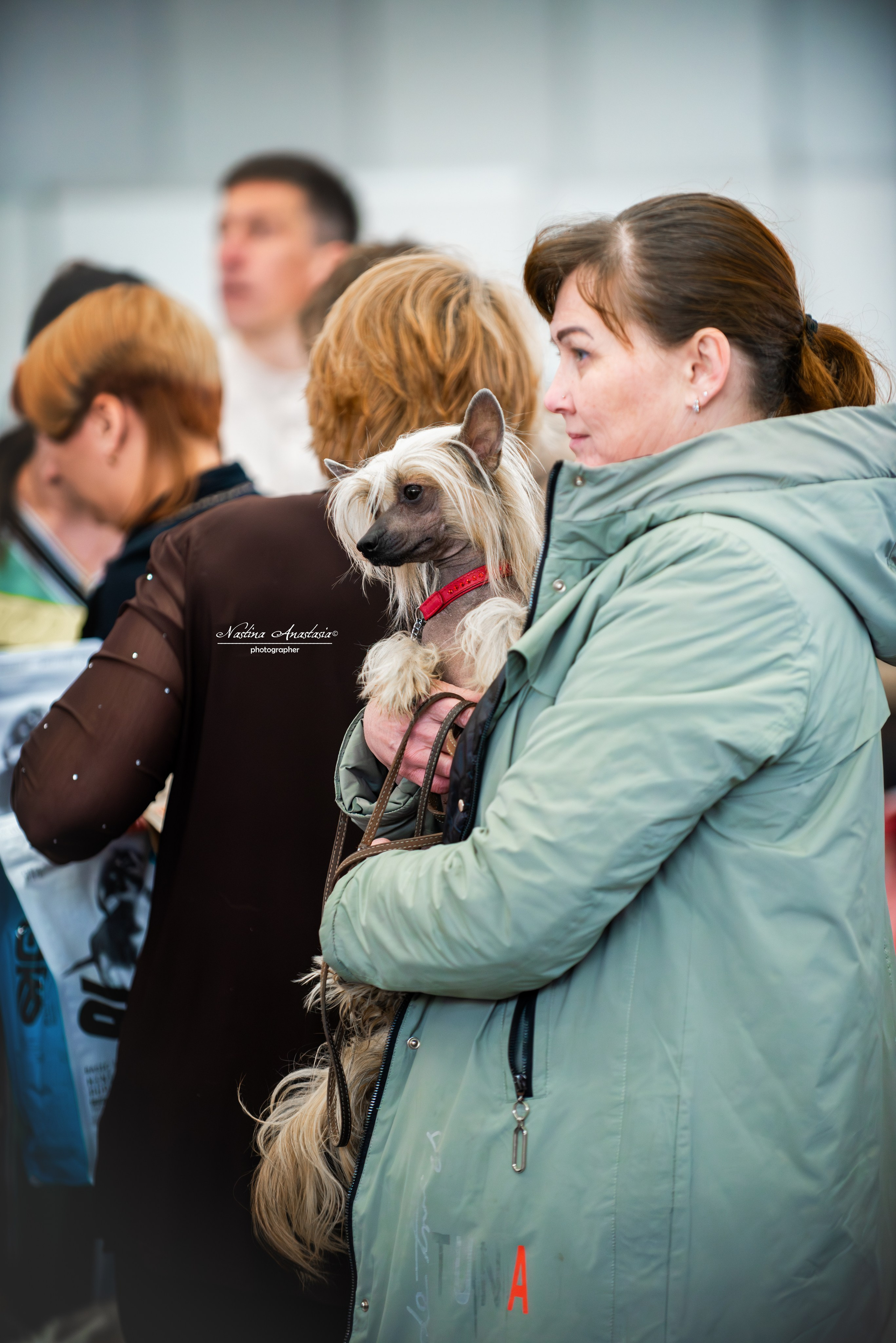 Выставки. Фотограф — Анималист