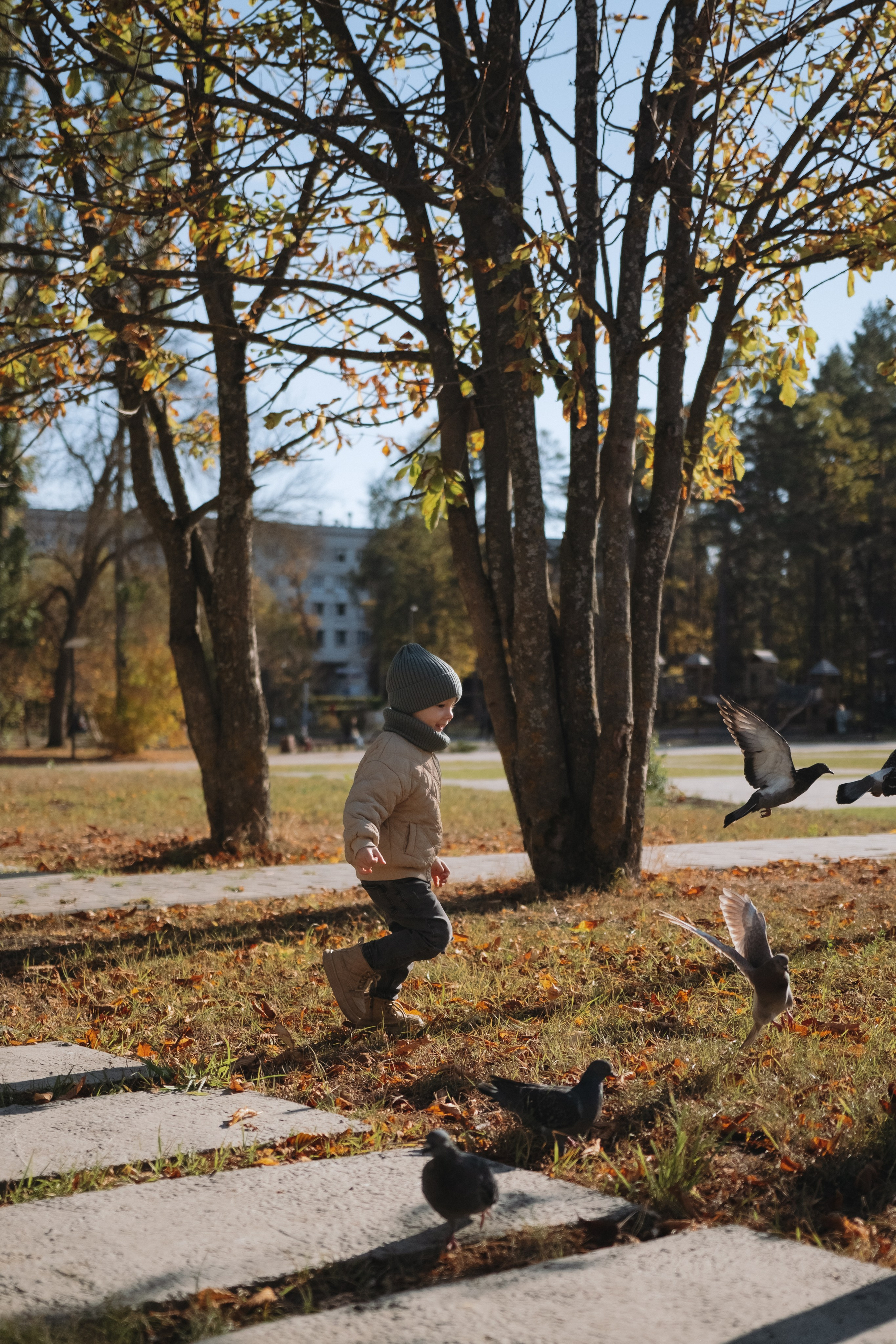 Семейная съемка (осень). Serg_film