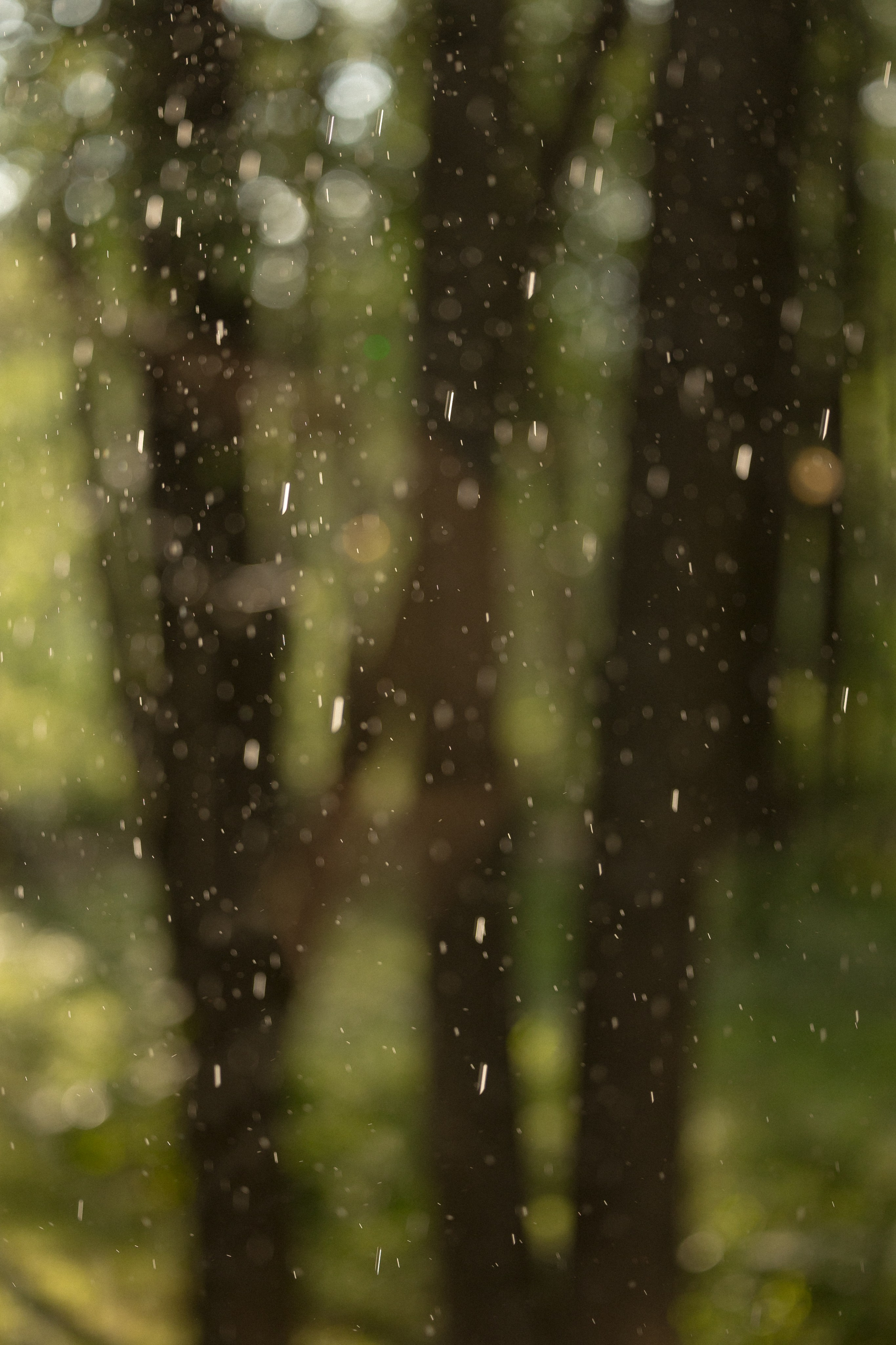 Анонс Wedding day Владимир & Лера. Свадебный фотограф Колесников Антон