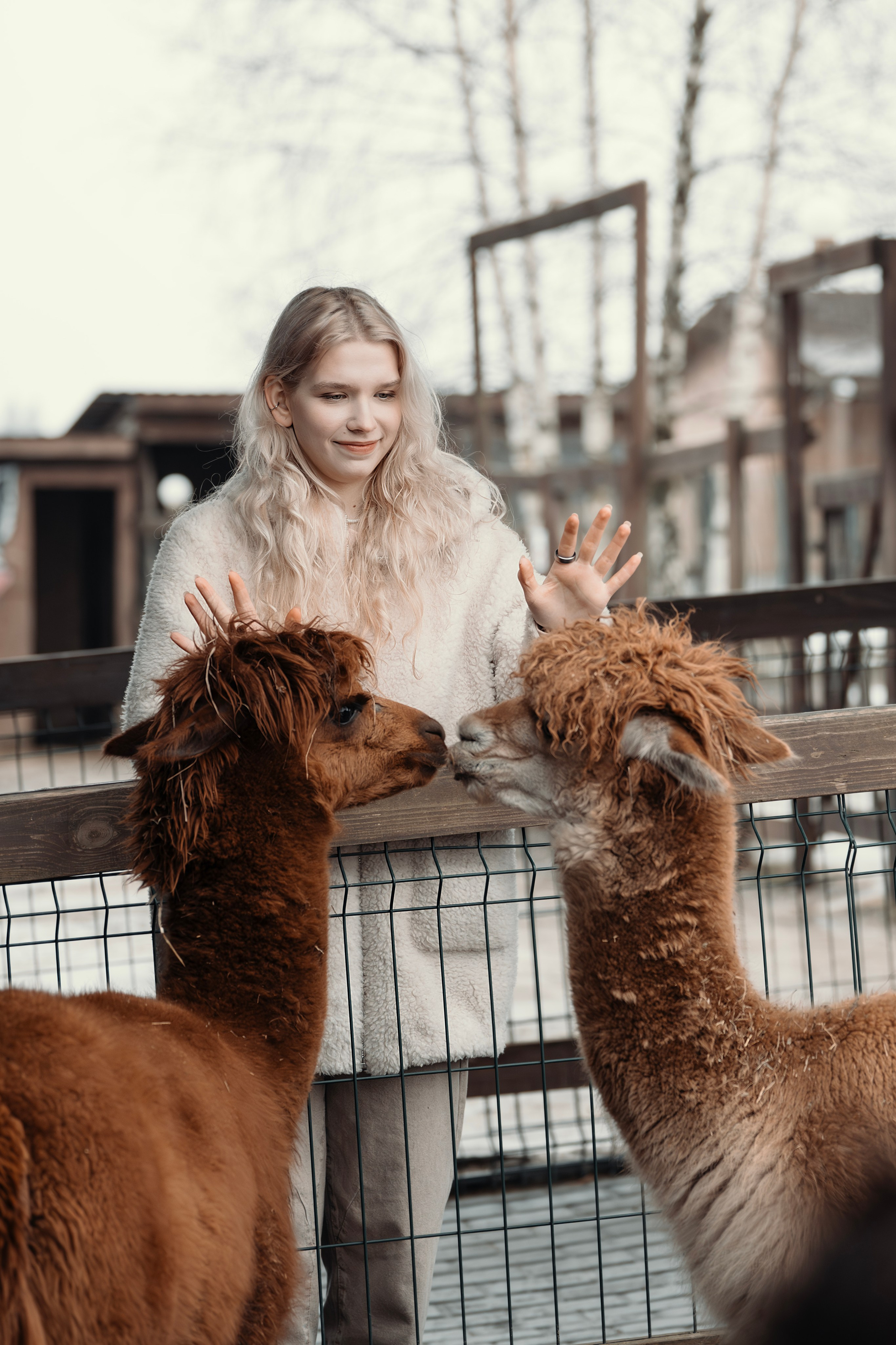 Альпаки. Свадебный и семейный фотограф в Москве Елена Новикова