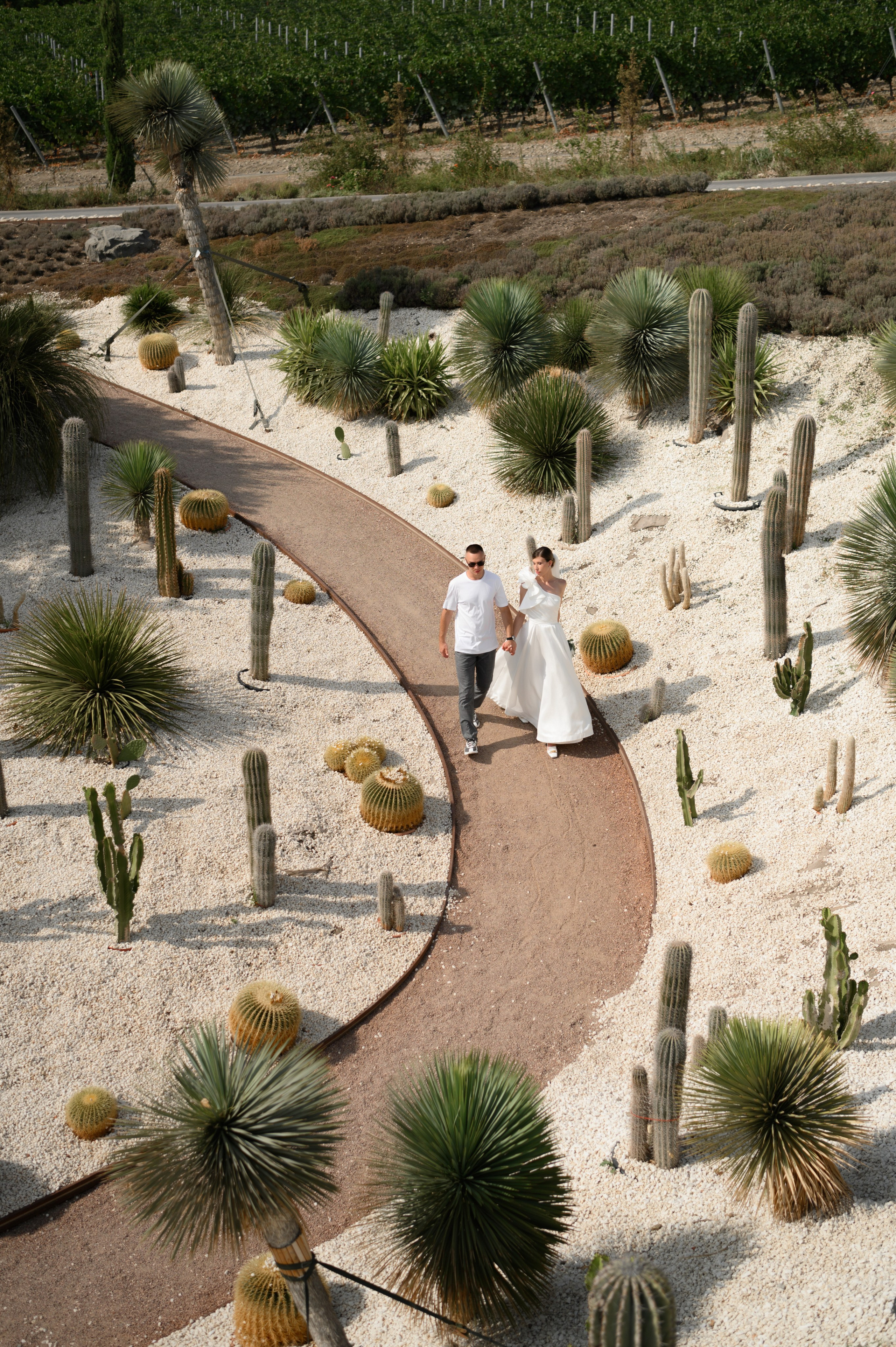 Каролина и Влад (Mriya Wine park). Свадебный фотограф. Крым и дальше!