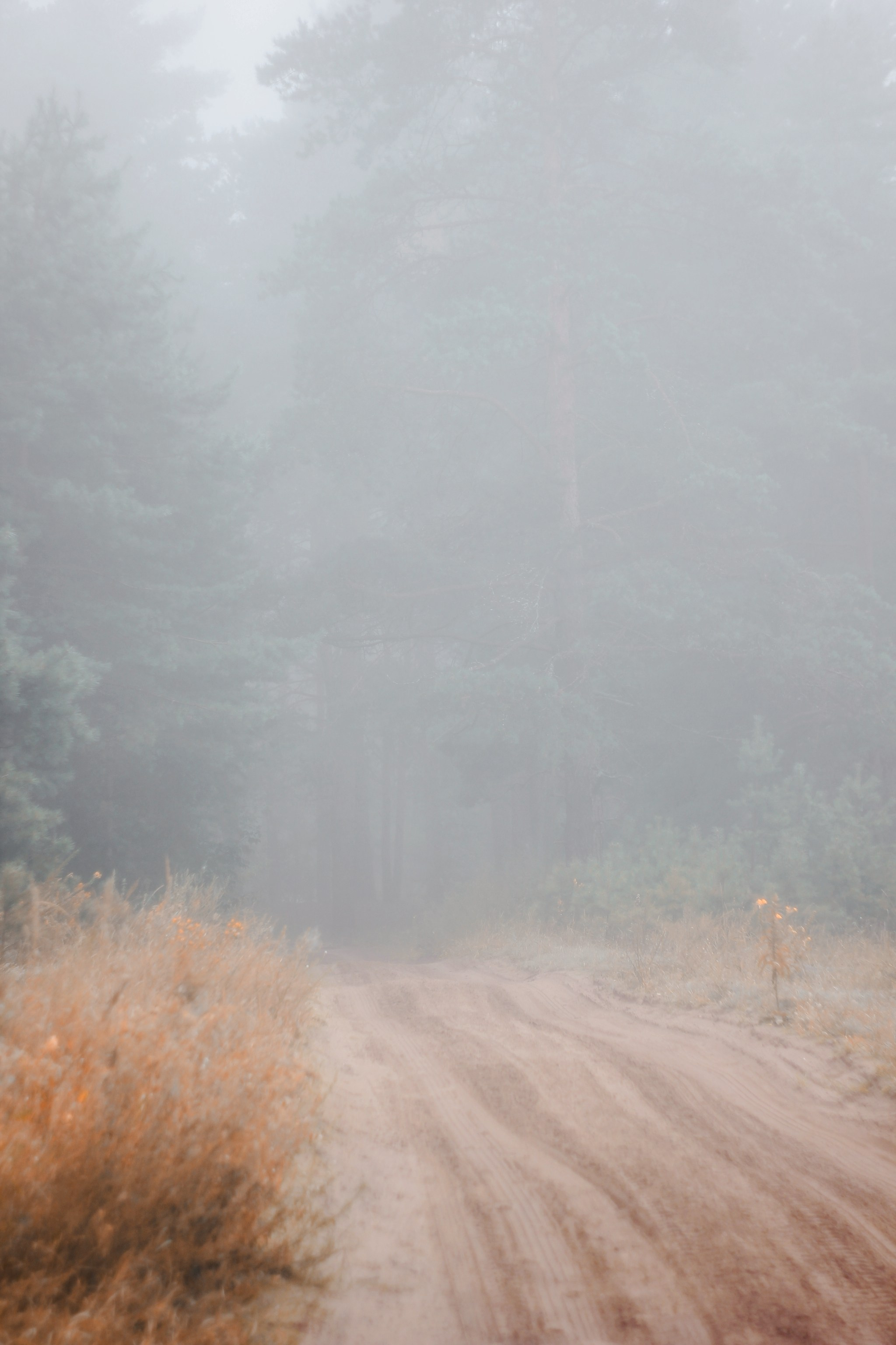 Меланхолия августа. С любовью, фотохудожник