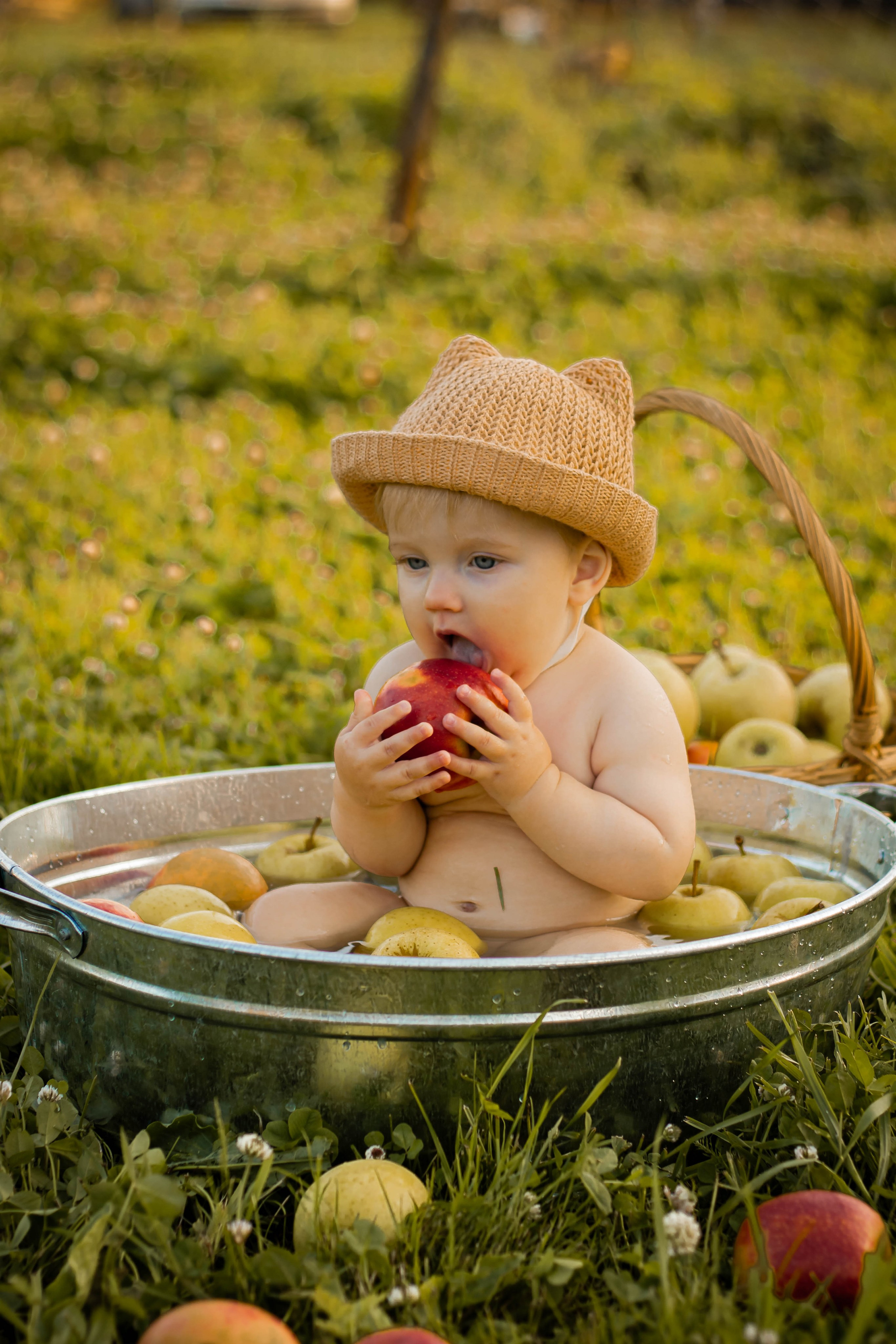 Яблочный рай. Семейный и детский фотограф в Павловском Посаде Сарапкина Наталья