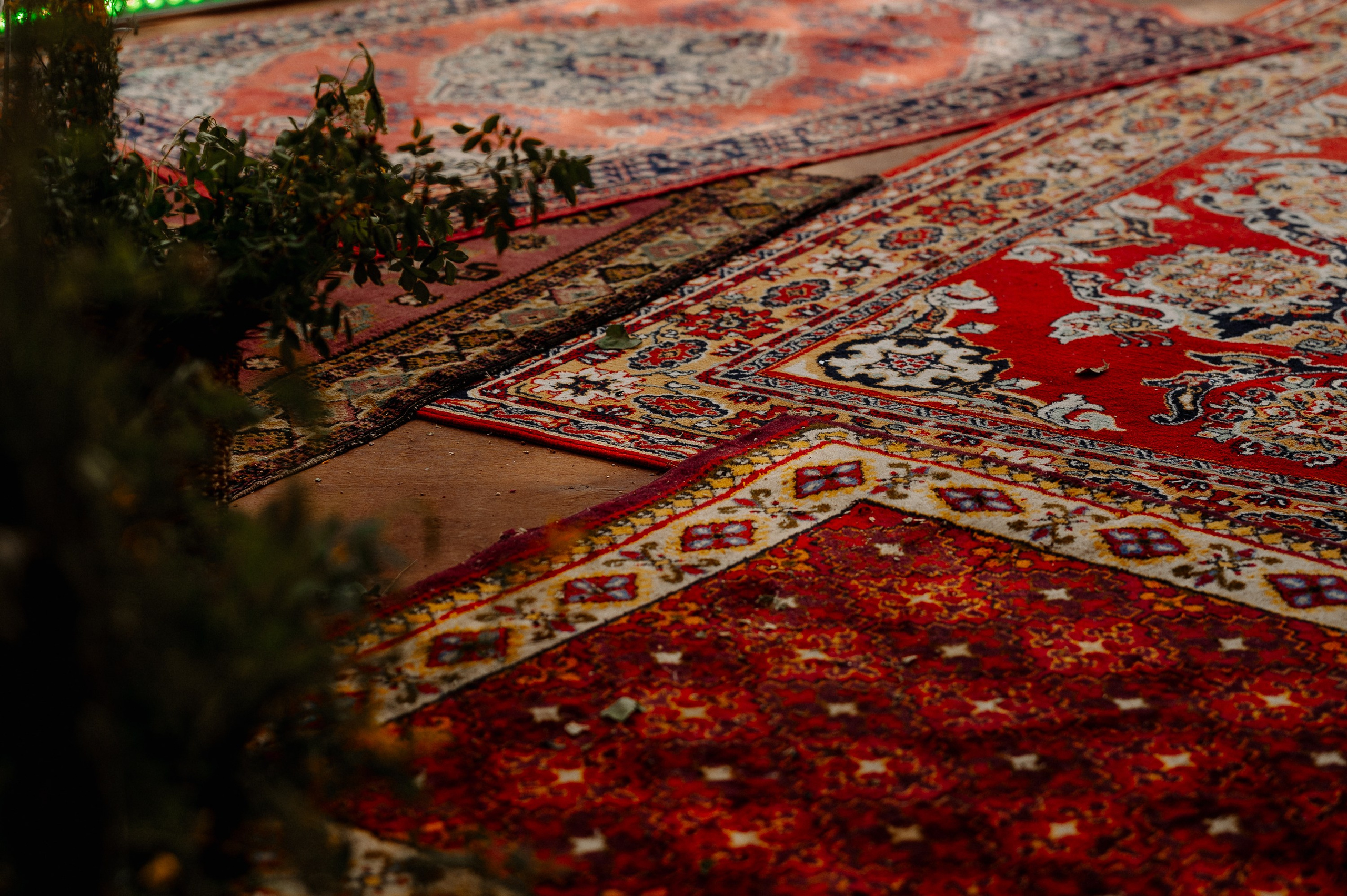 Стёпа и Катя | 2023. Фотограф Вито Бурмасов | Москва