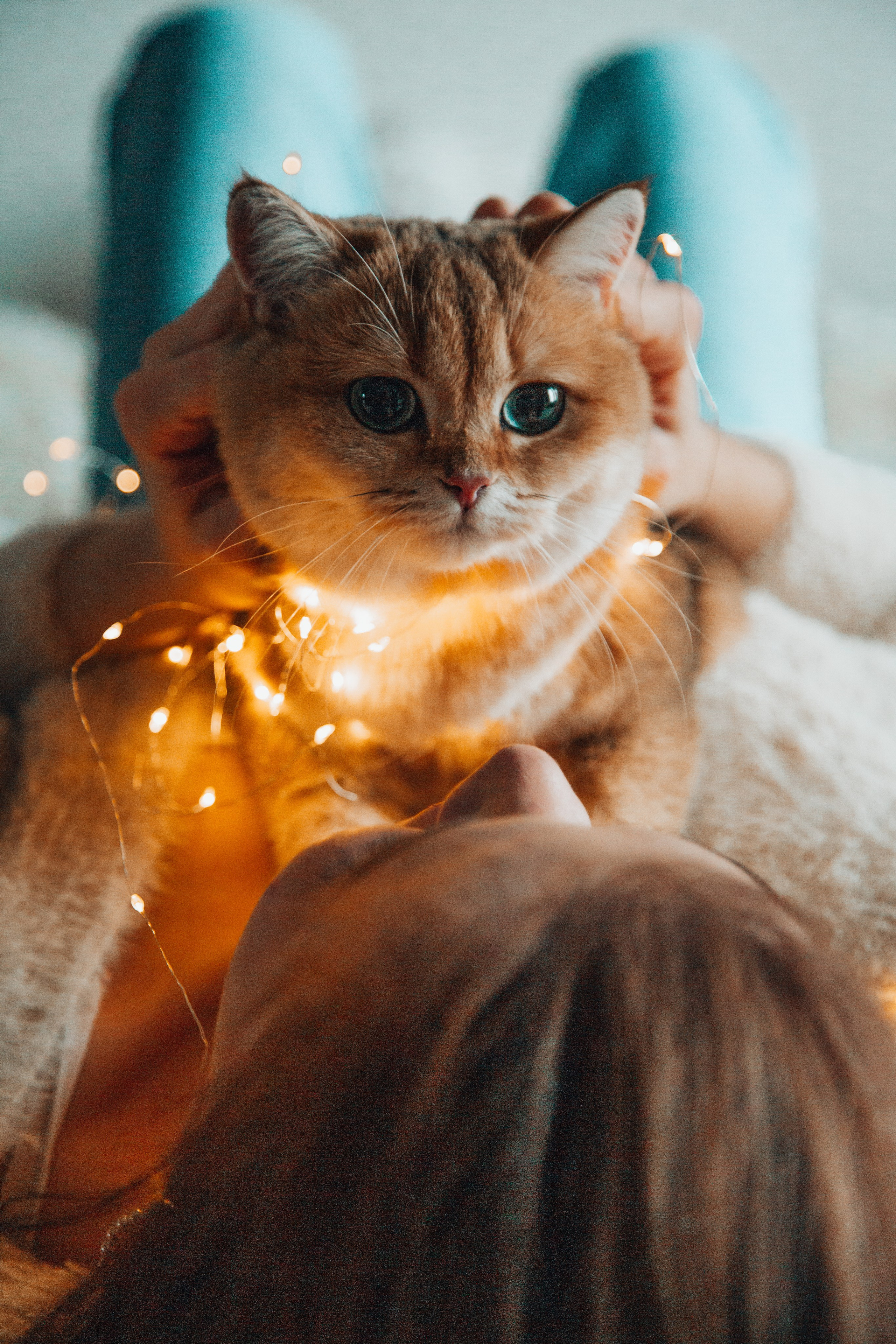 Фотосессия дома/ в супермаркете. Фотограф в Кисловодске Юлия Федоренко