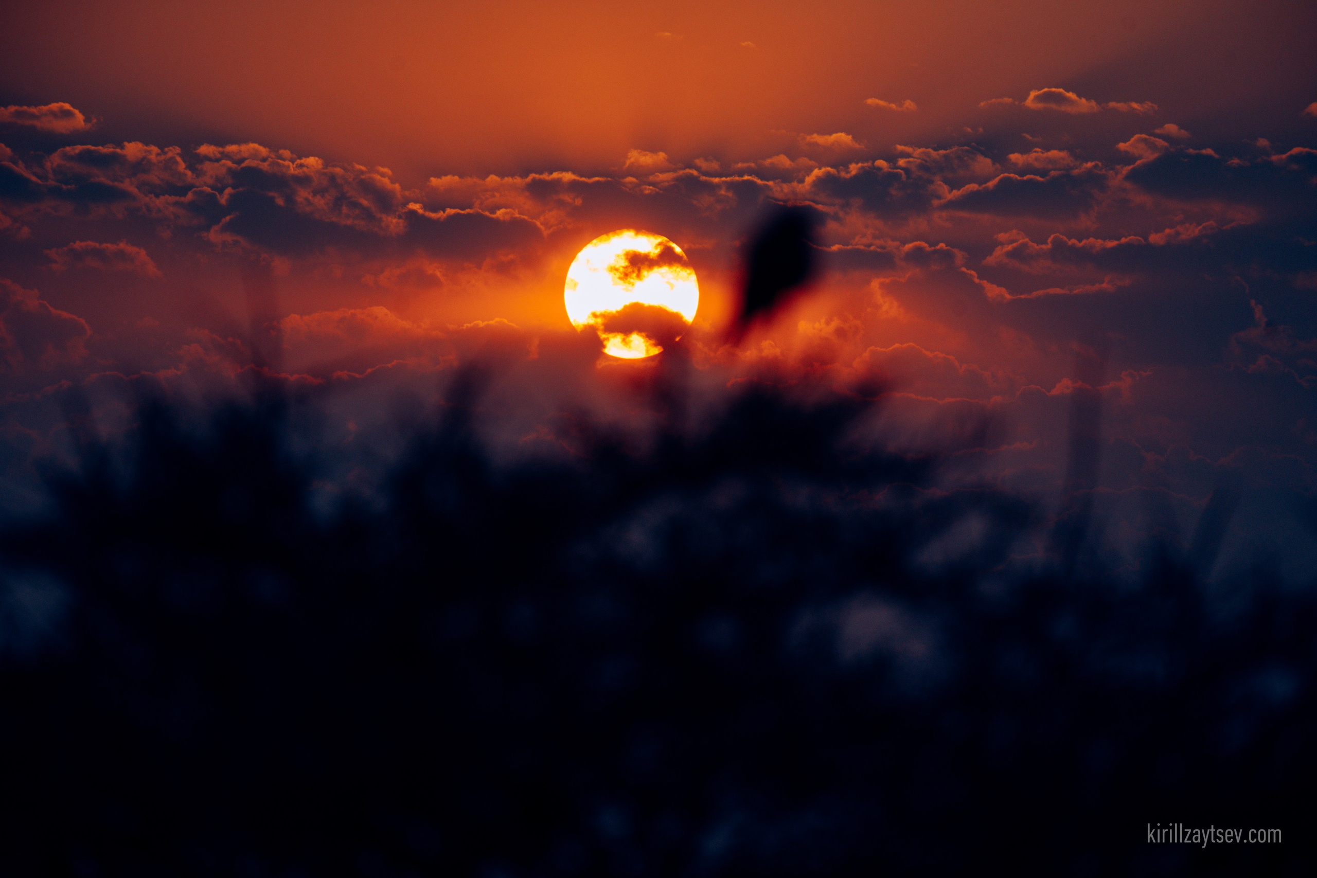 Жизнь. Профессиональный фотограф Кирилл Зайцев