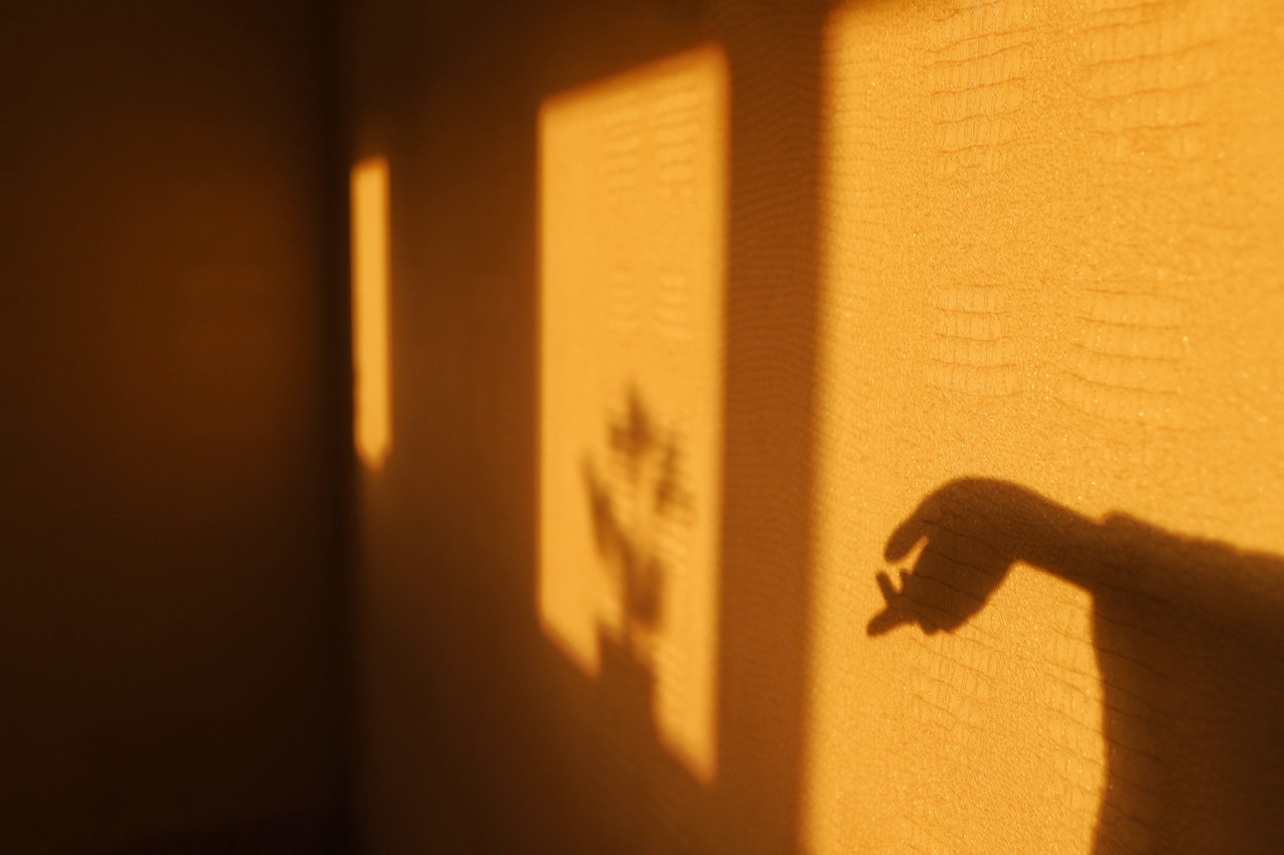 Фотограф и видеограф в Санкт-Петербурге