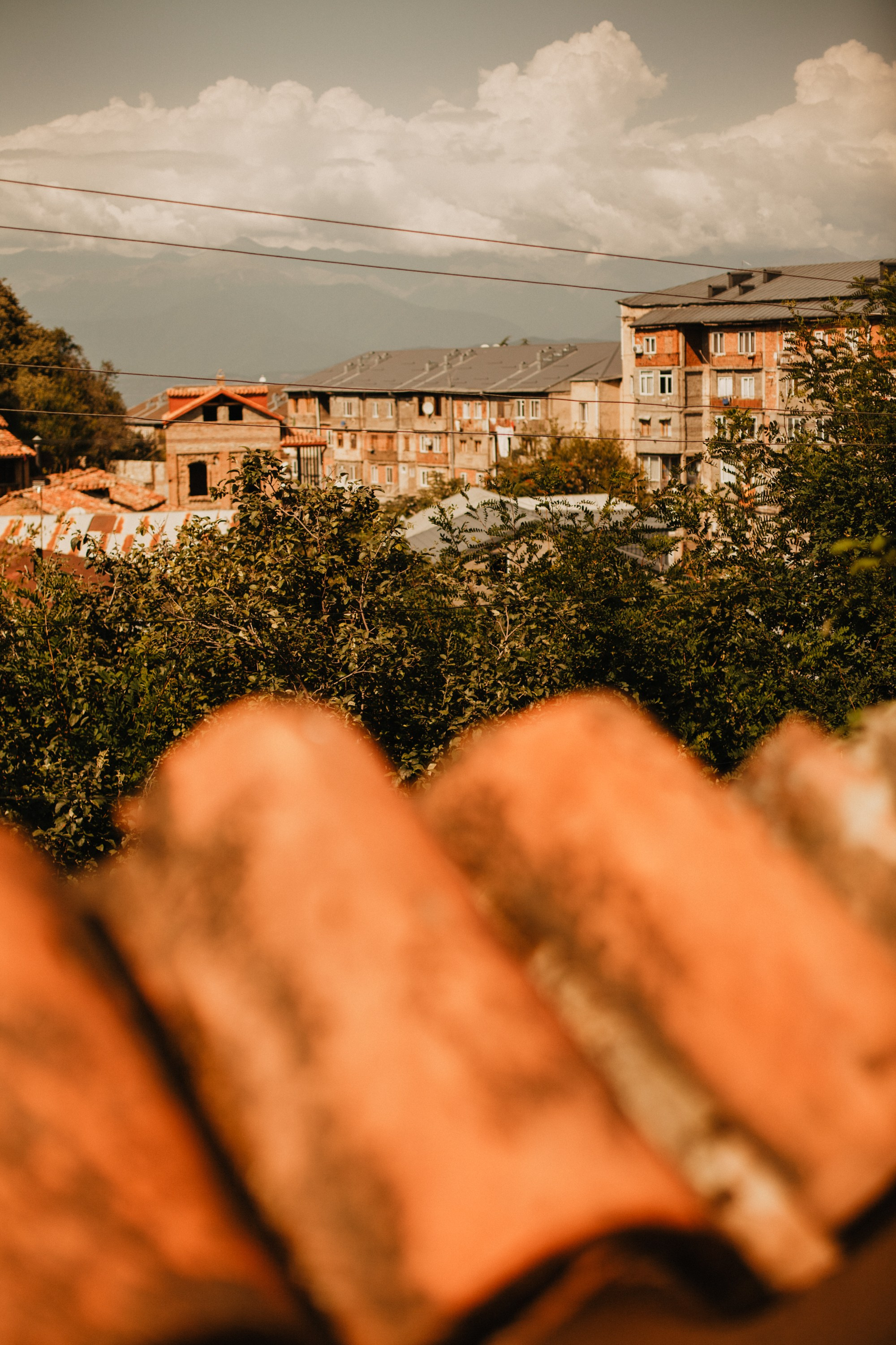 Грузинские каникулы. Violetta Skripka