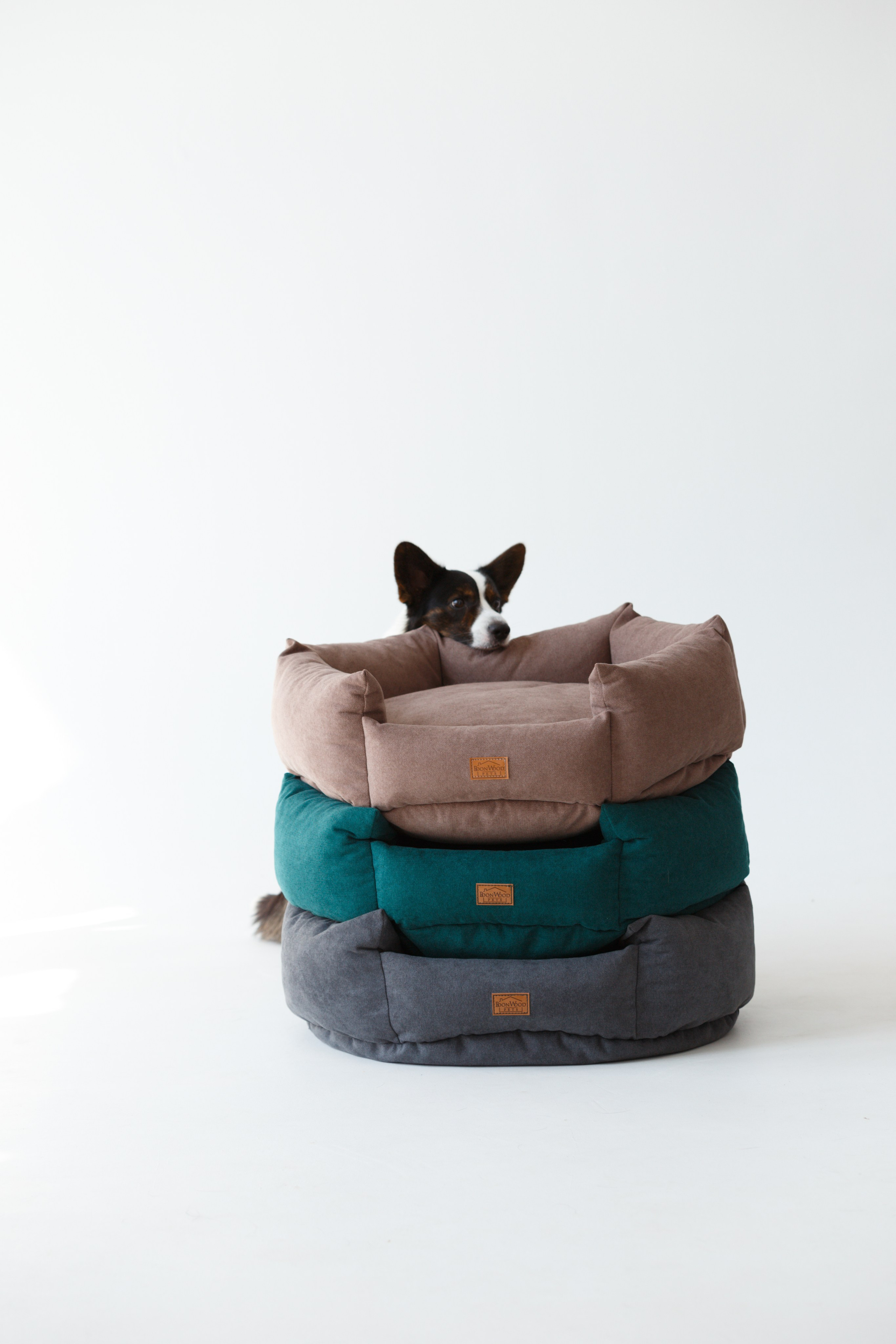 Boonwood Pets лежанки для животных. Фотограф анималист Кристина Карпова, Москва