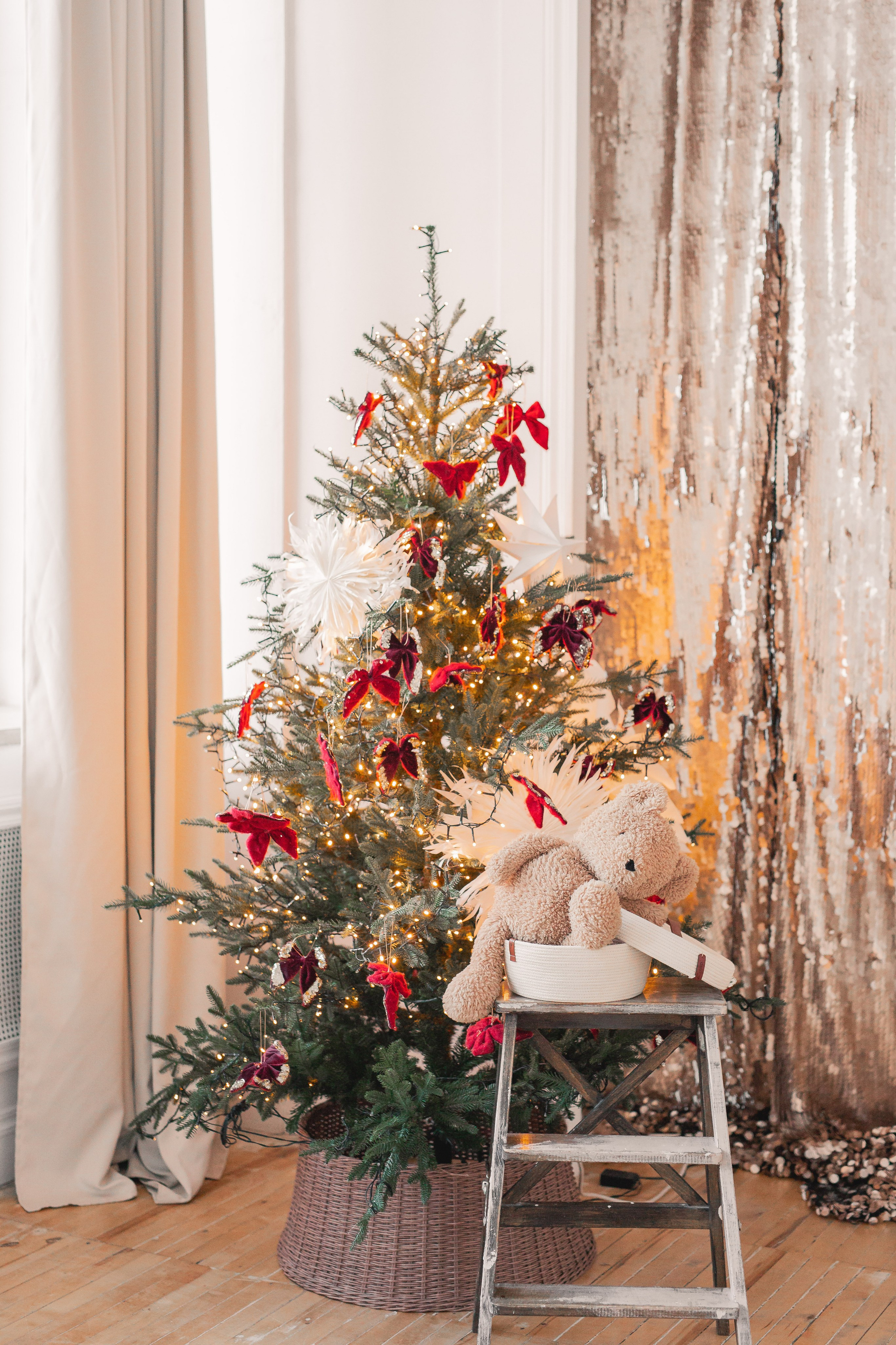 Семья Дмитриевых. Фотограф Анастасия Петрова