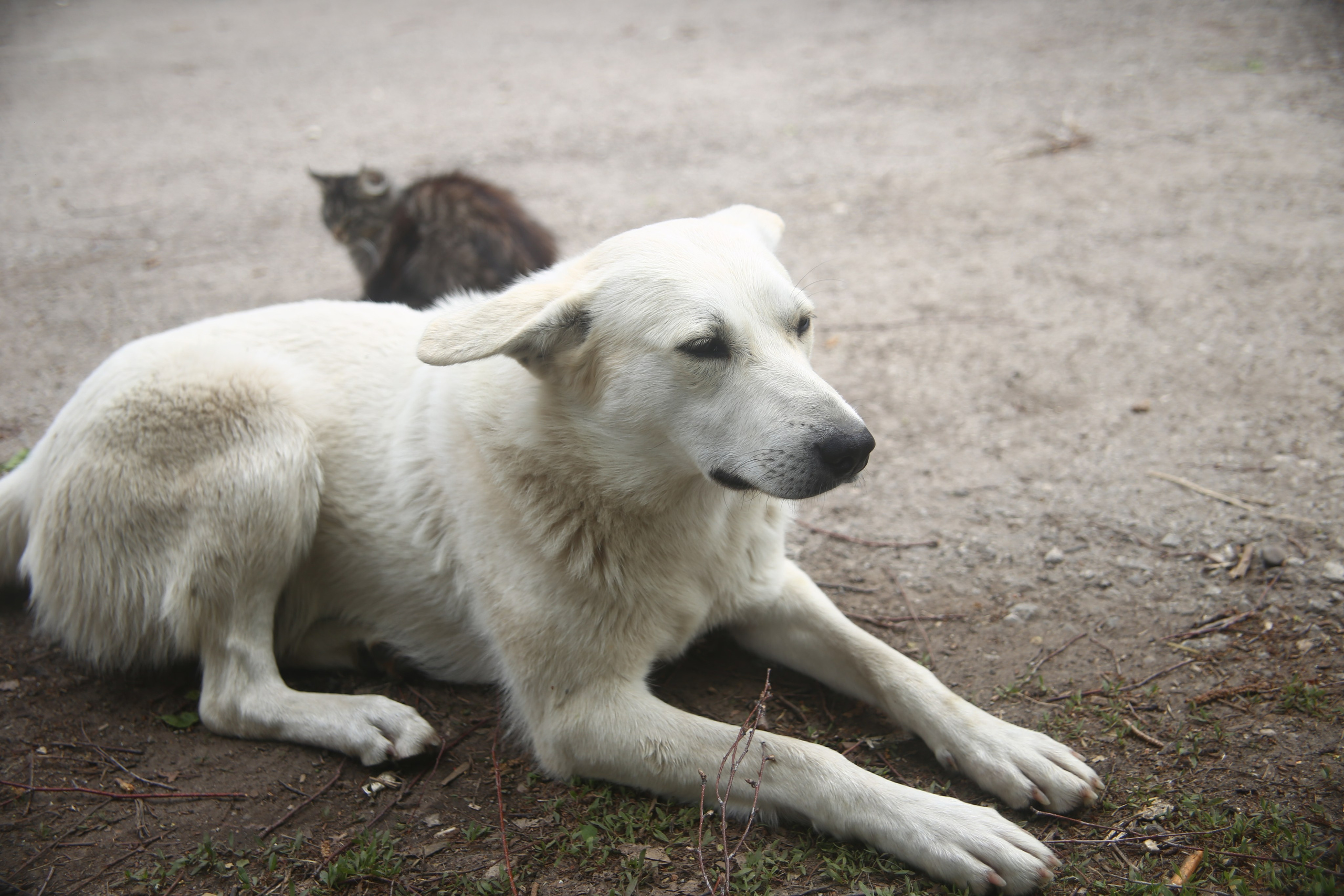 Всё, что я вижу вокруг себя