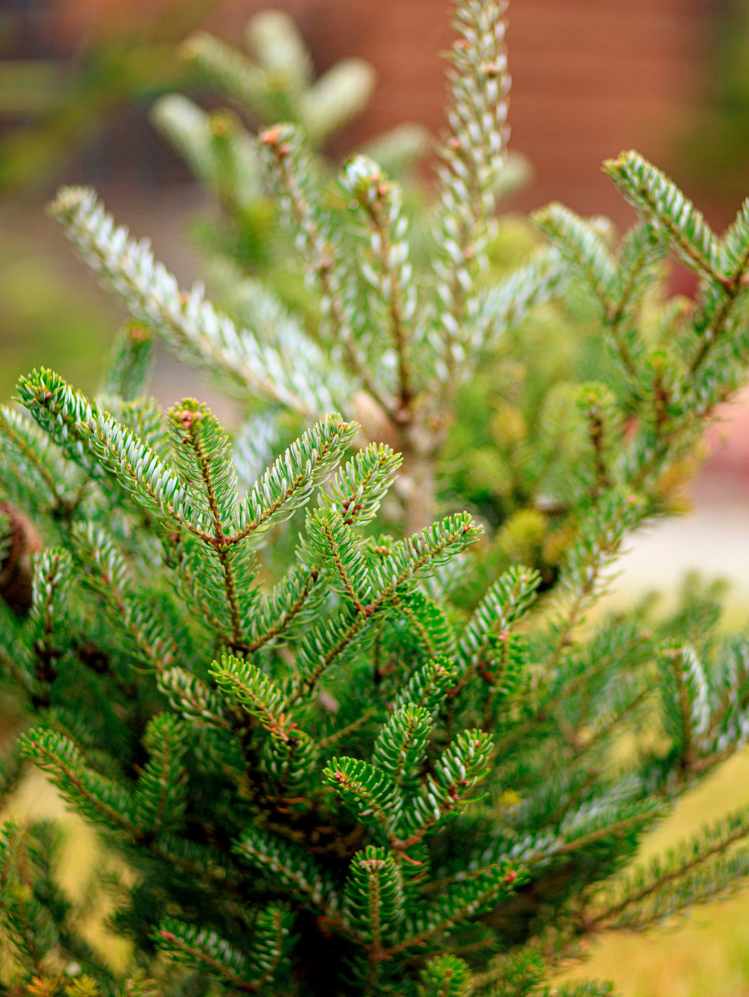 Парк-заповедник Купидон. Семейный фотограф в Димитровграде Елена Патрушева