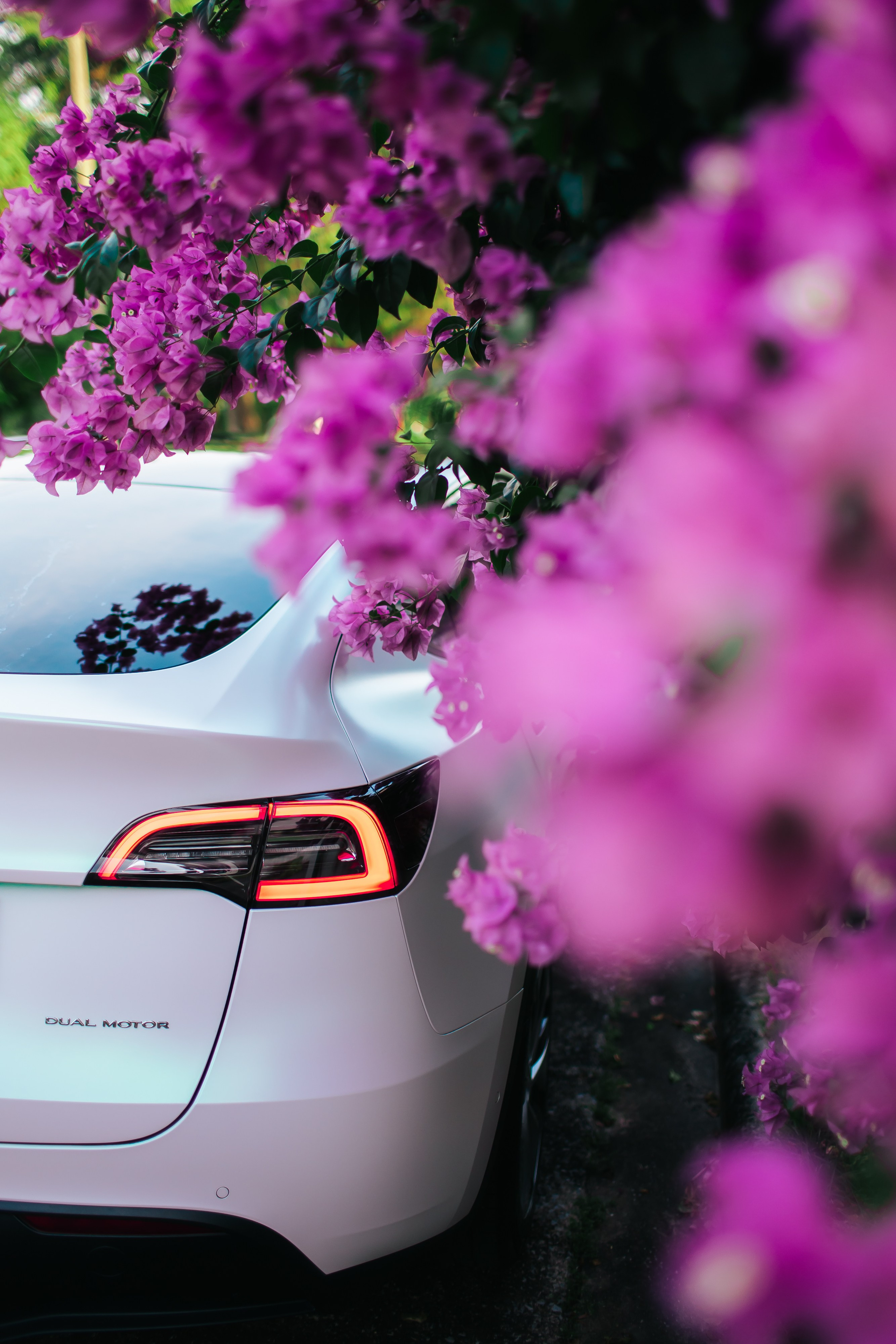 Tesla Model 3 Pearl. Фотограф в на Пхукете Сергей Войлоков