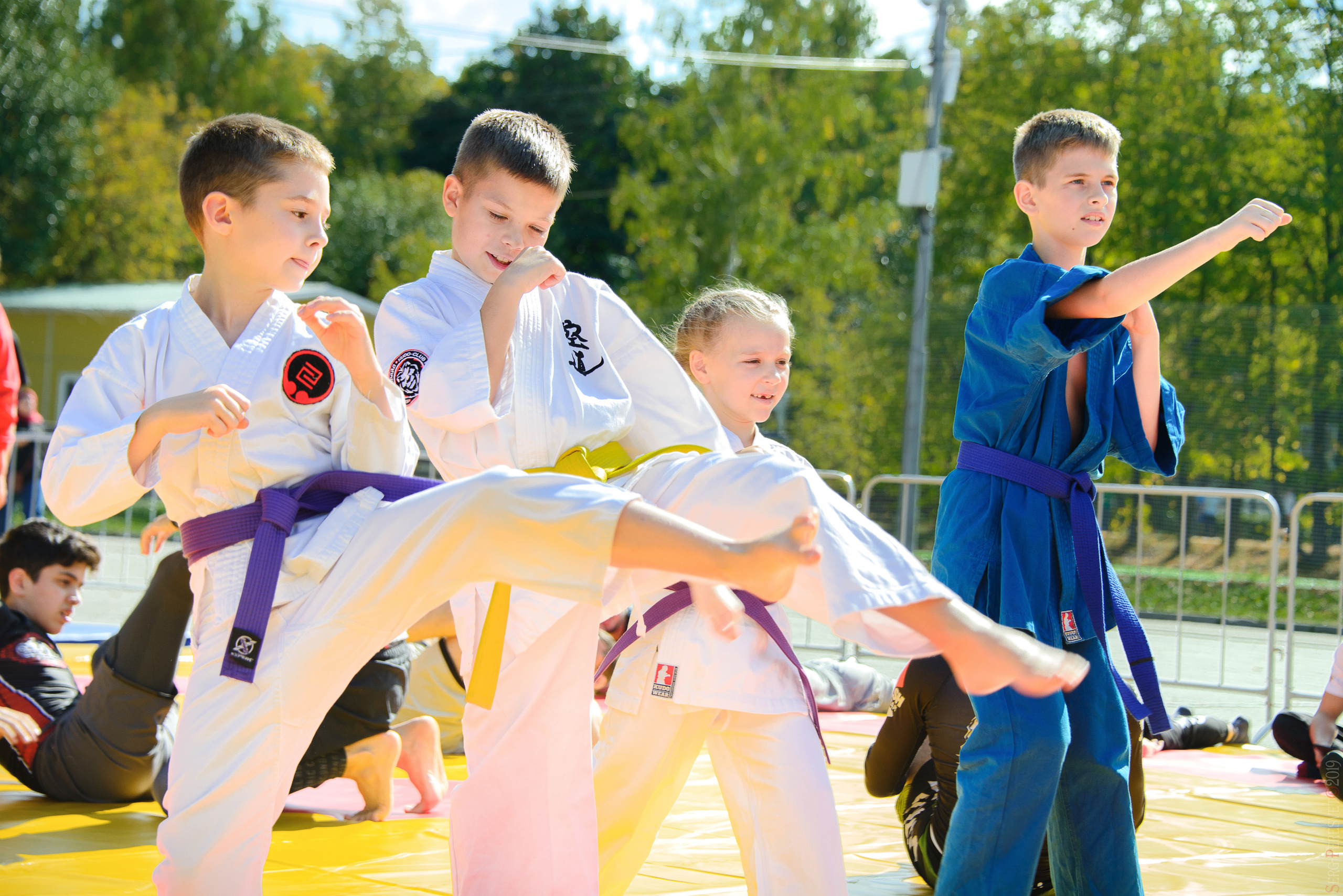 Спорт — Рукопашный бой, борьба, карате, кудо, айкидо, капоэйра, дзюдо, бокс. Ваш фотограф на праздник в Москве, Раменском, Жуковском, Люберцах