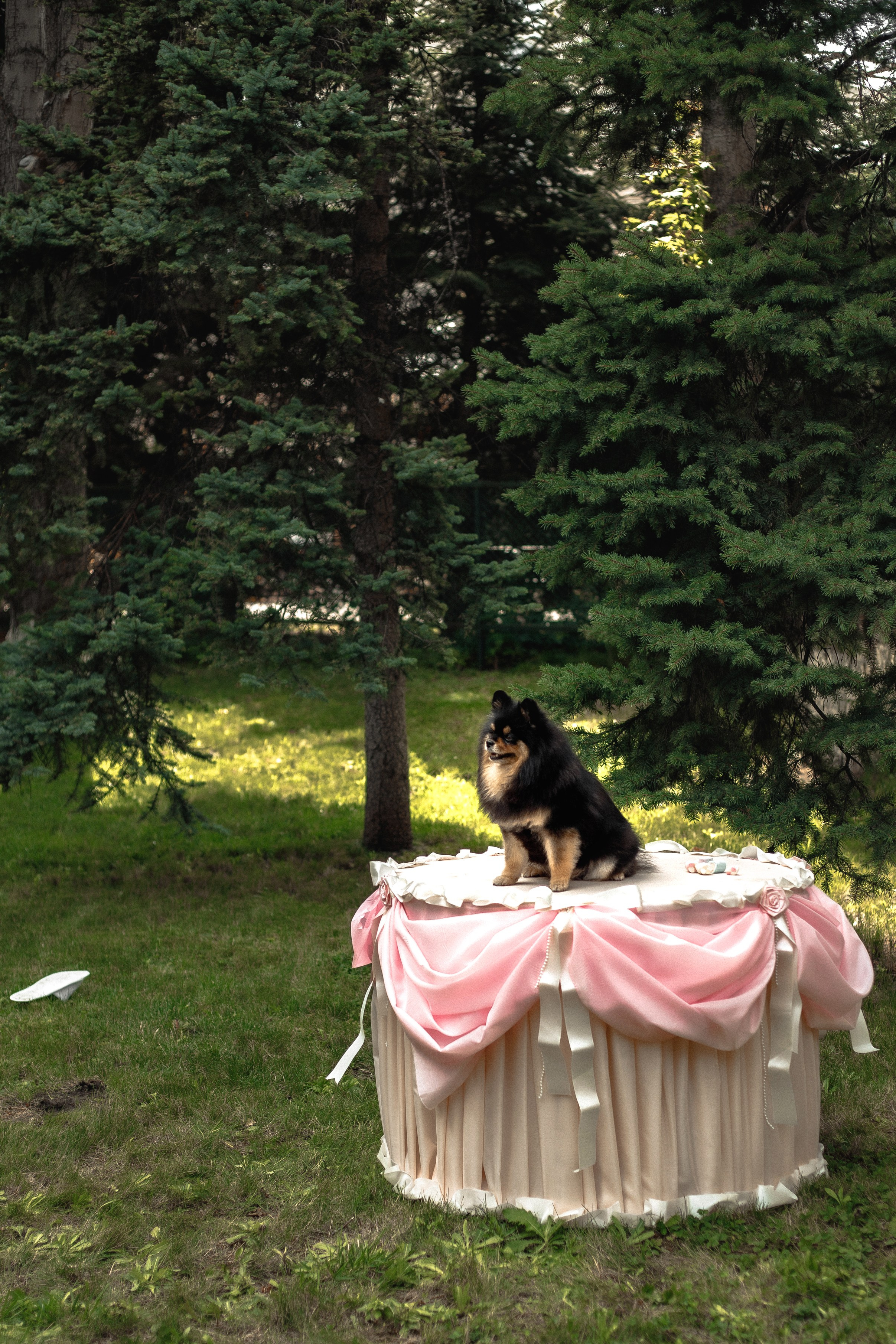 A|T. Свадебный и семейный фотограф в Саратове Анжела Борисова