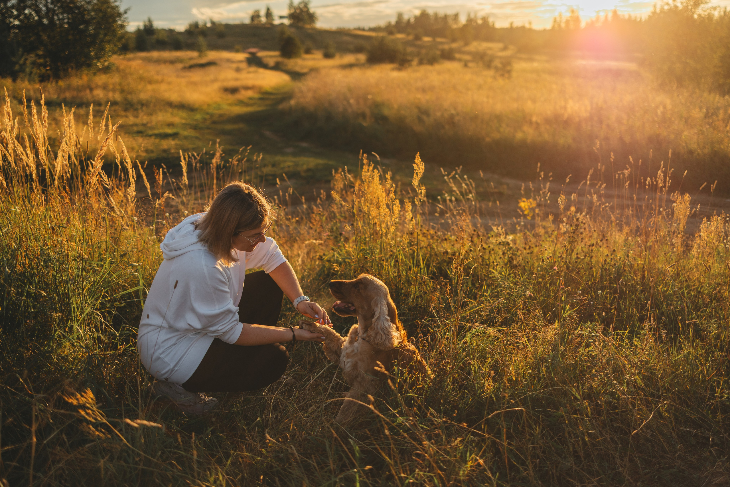 Собаки и их люди. Фотограф- анималист Санкт-Петербург