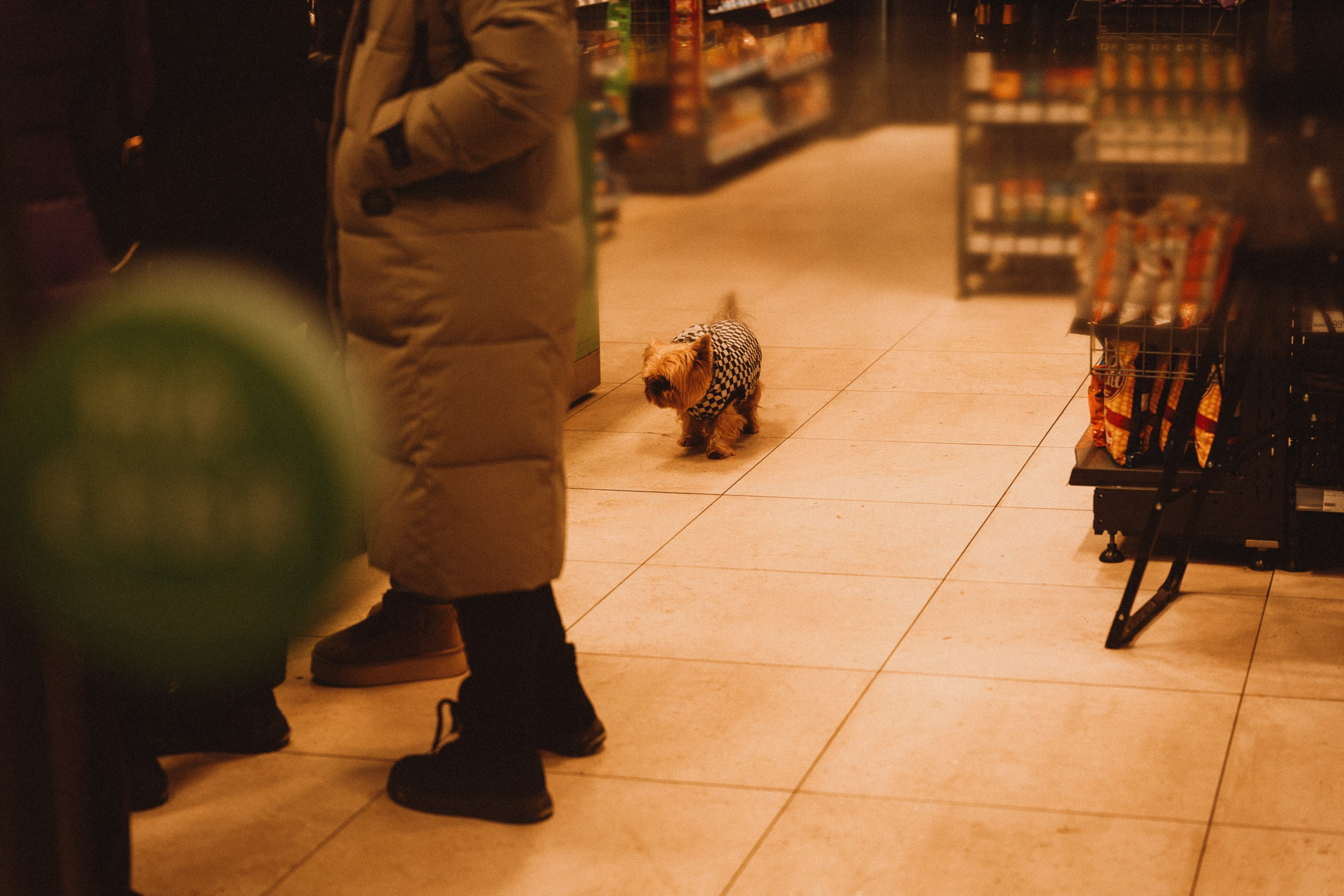 Саша и Ника. Фотограф в Новокузнецке Иван Дендин