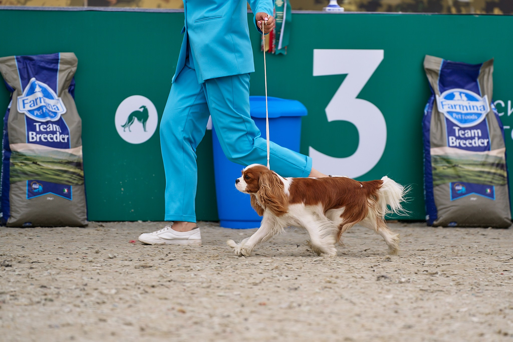 09.06.2024, «РОССИЯ. КУБОК МОСКВЫ 2024 & КУБОК ГОРОДОВ-ГЕРОЕВ»